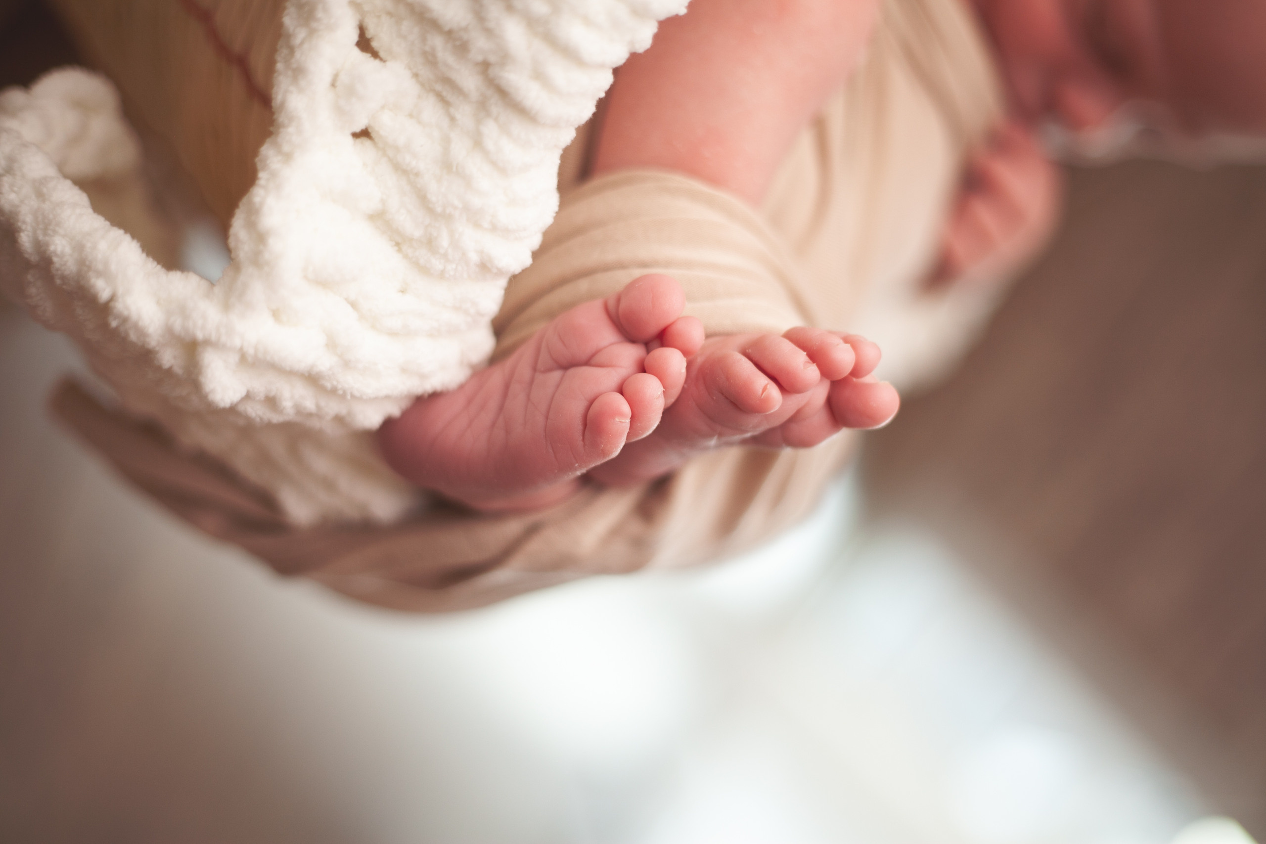 Neugeborene. Ihre Familienfotografin in Köln/Bonn Virezzi Fotodesign