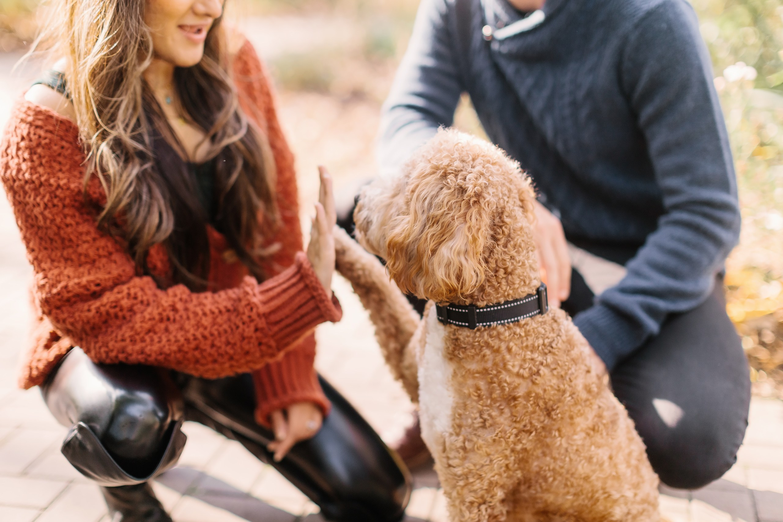 11.02.2024 Love Story. Wedding family event photographer in Chicago Nick Yushevich