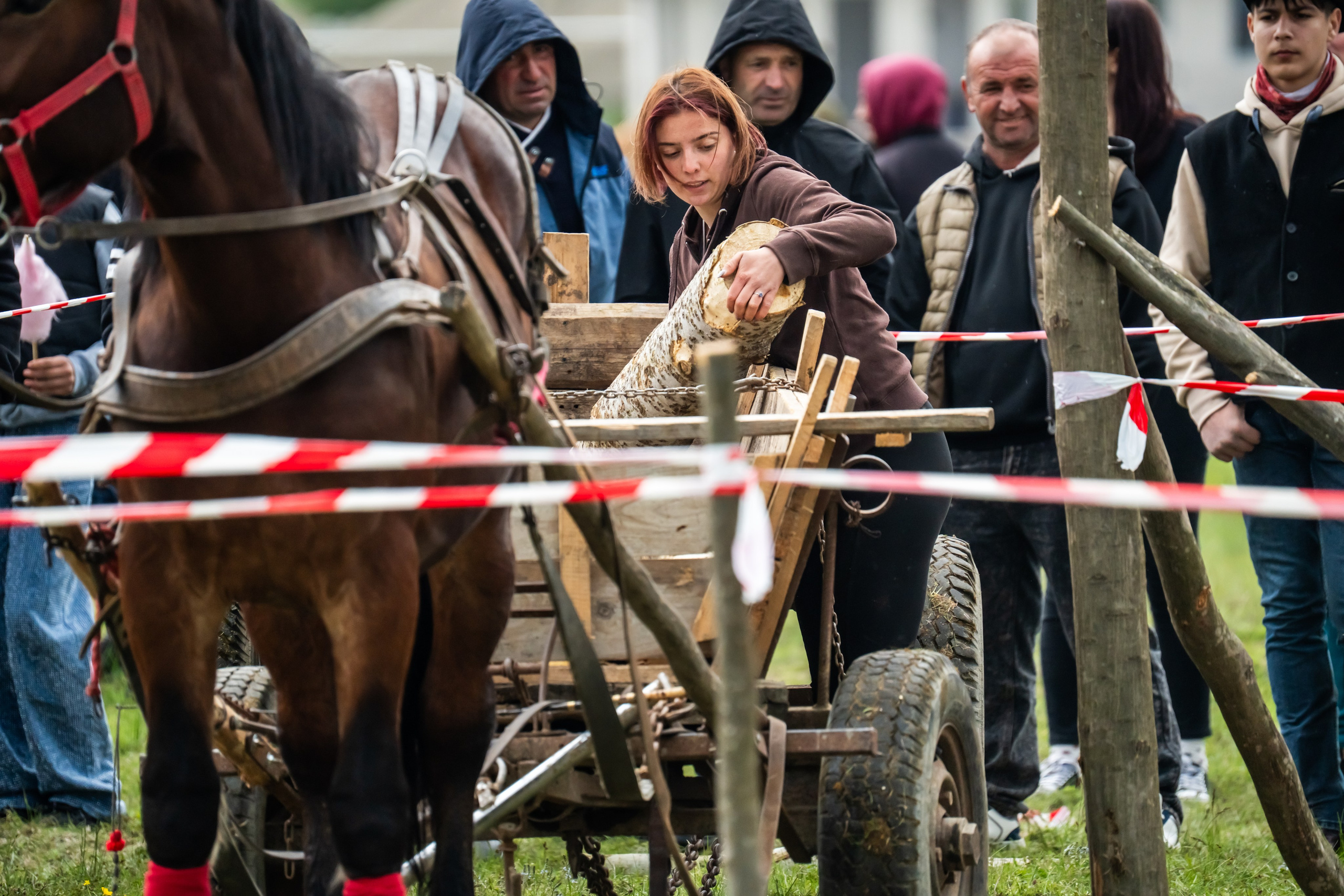 Concurs Ecvestru Vărbilău ediția a 4-a. Mihai Alexandra Events