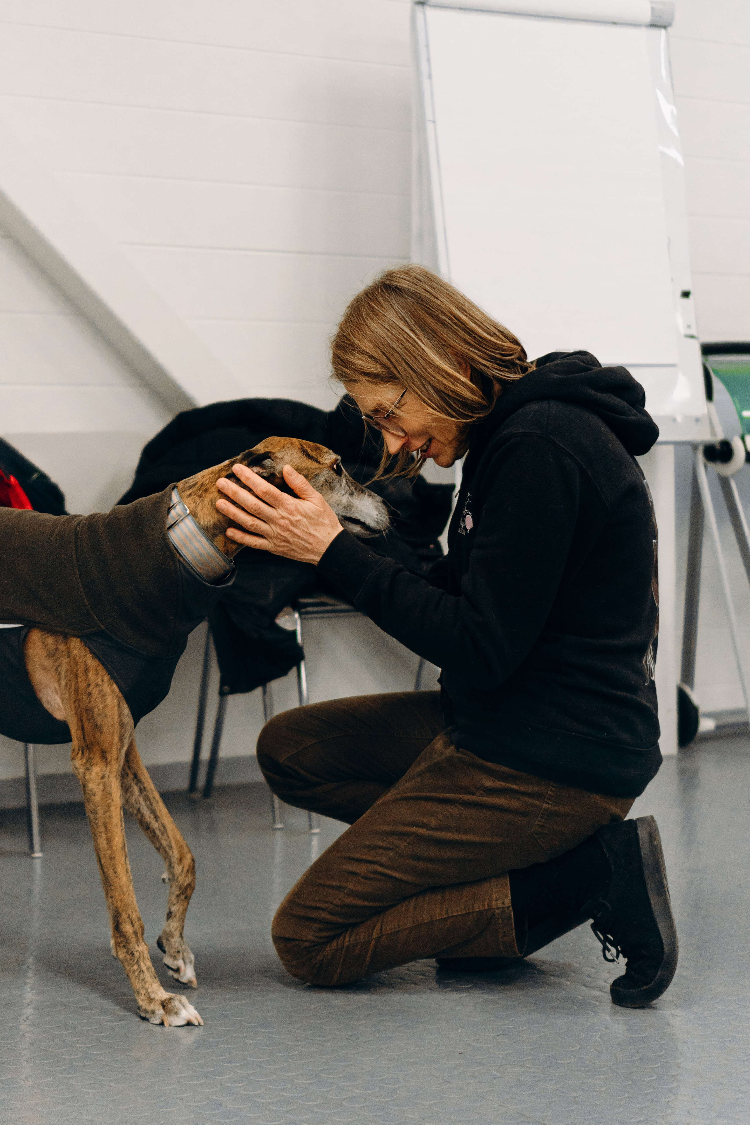 GalgoTreff / PetCity Rannamõisa, 13 apr. 2025. Kat Laisaar — Pet photographer in Tallinn