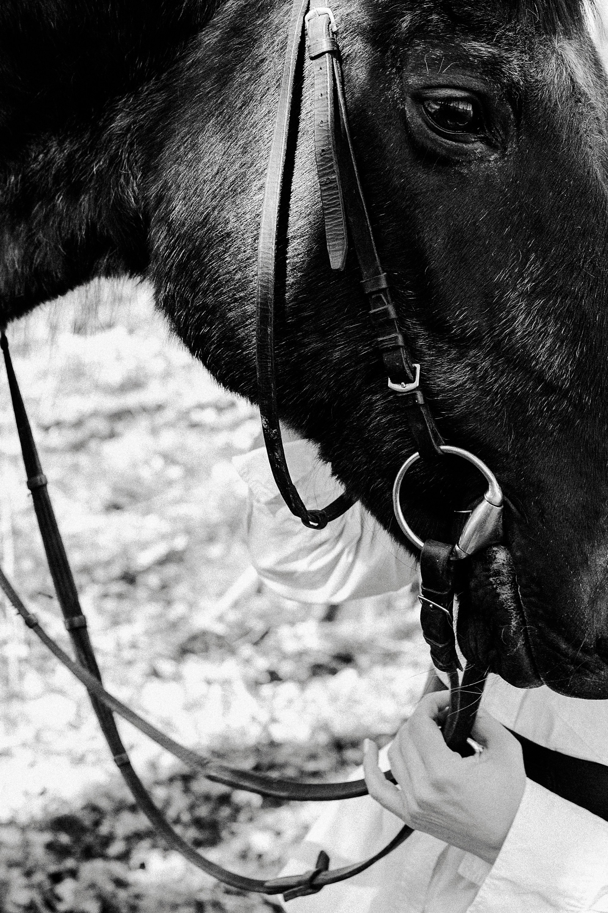 Кристина. Marianna.gluhova.photostory