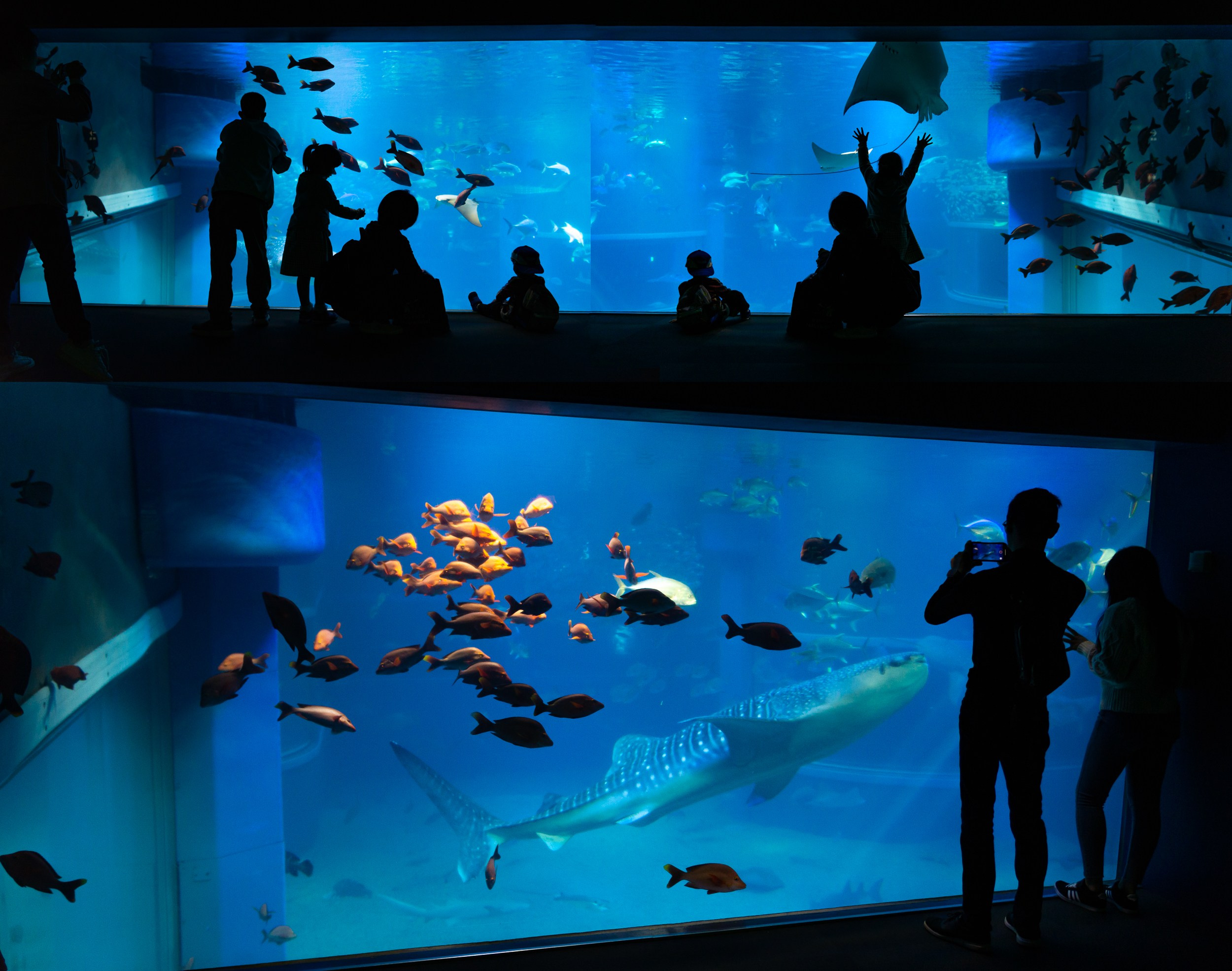 Japan. Marius Ciocan