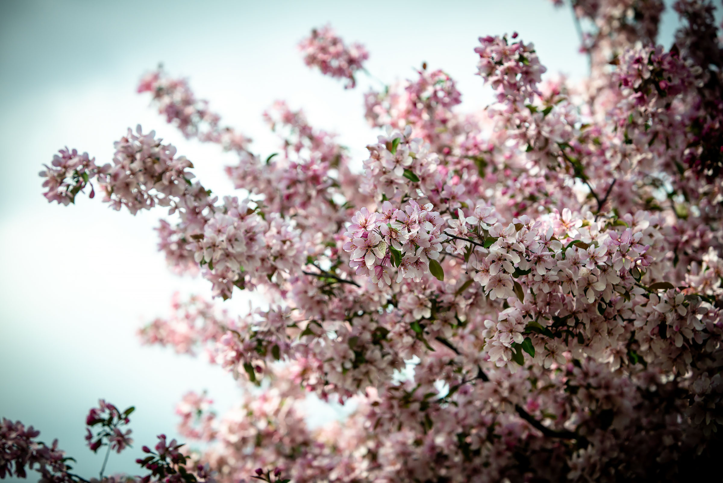 2022-05-22 / Optibet Lokomotivem Daugavpils - Metalika Recycling Kolejarz Rawicz. Fotogrāfs Romualds Rubenis un Artemijs Stašāns