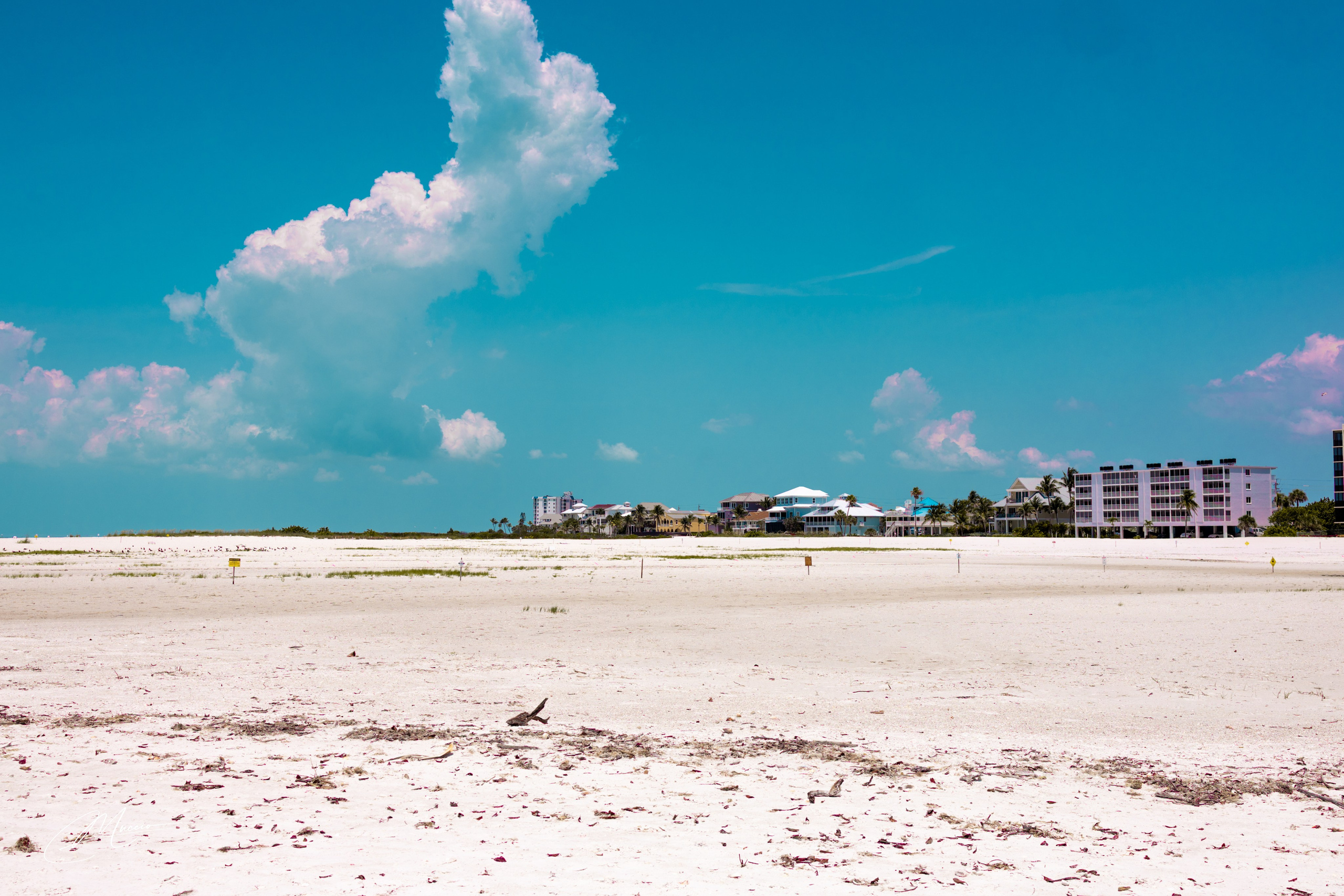 Florida Man — Fort Myers Walkabout. Out and About 239