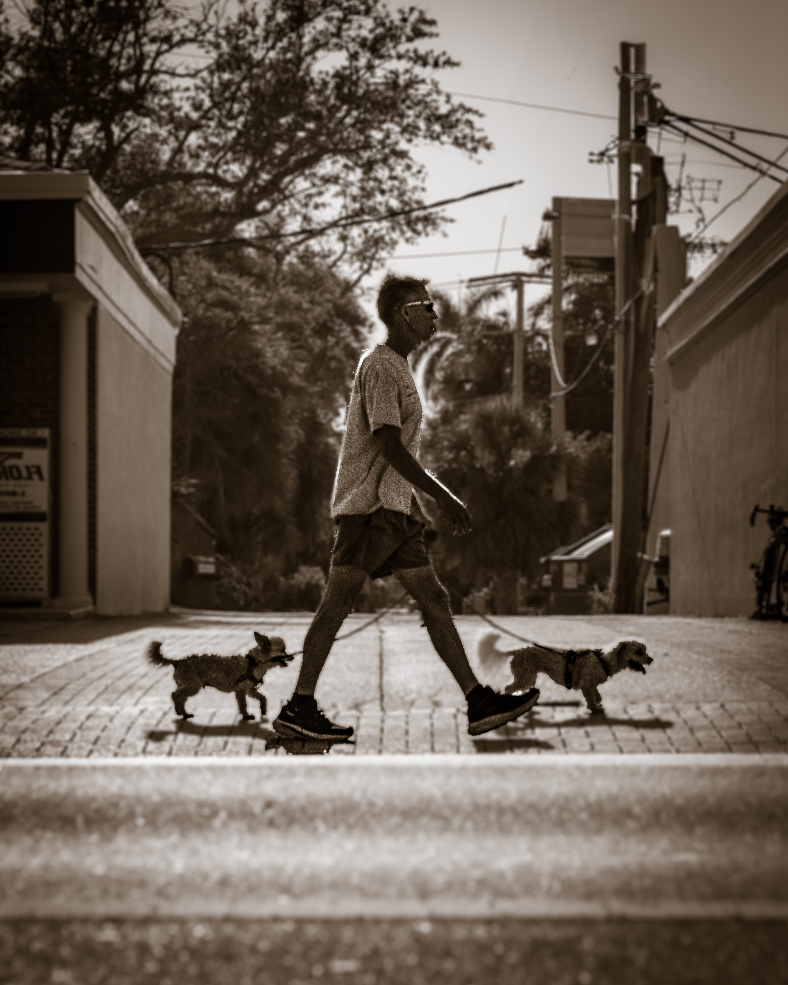 Black and White. Out and About 239