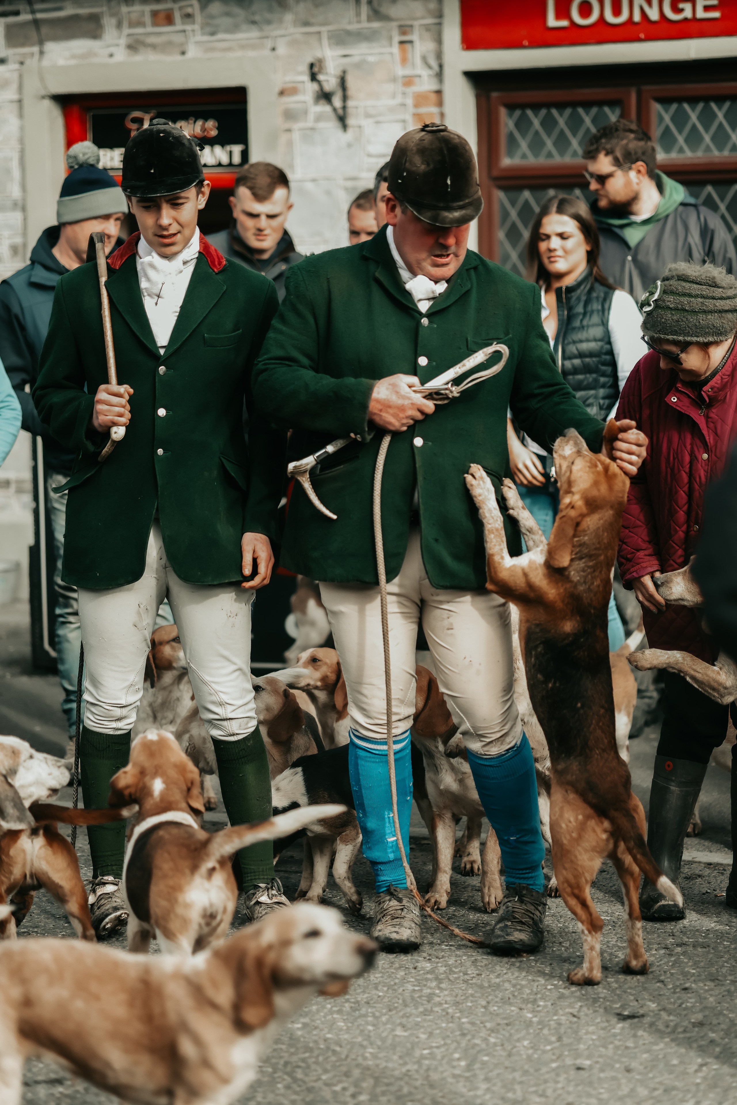 Hunting. Photographer Co Dublin, Balbriggan — Agata Maliseva
