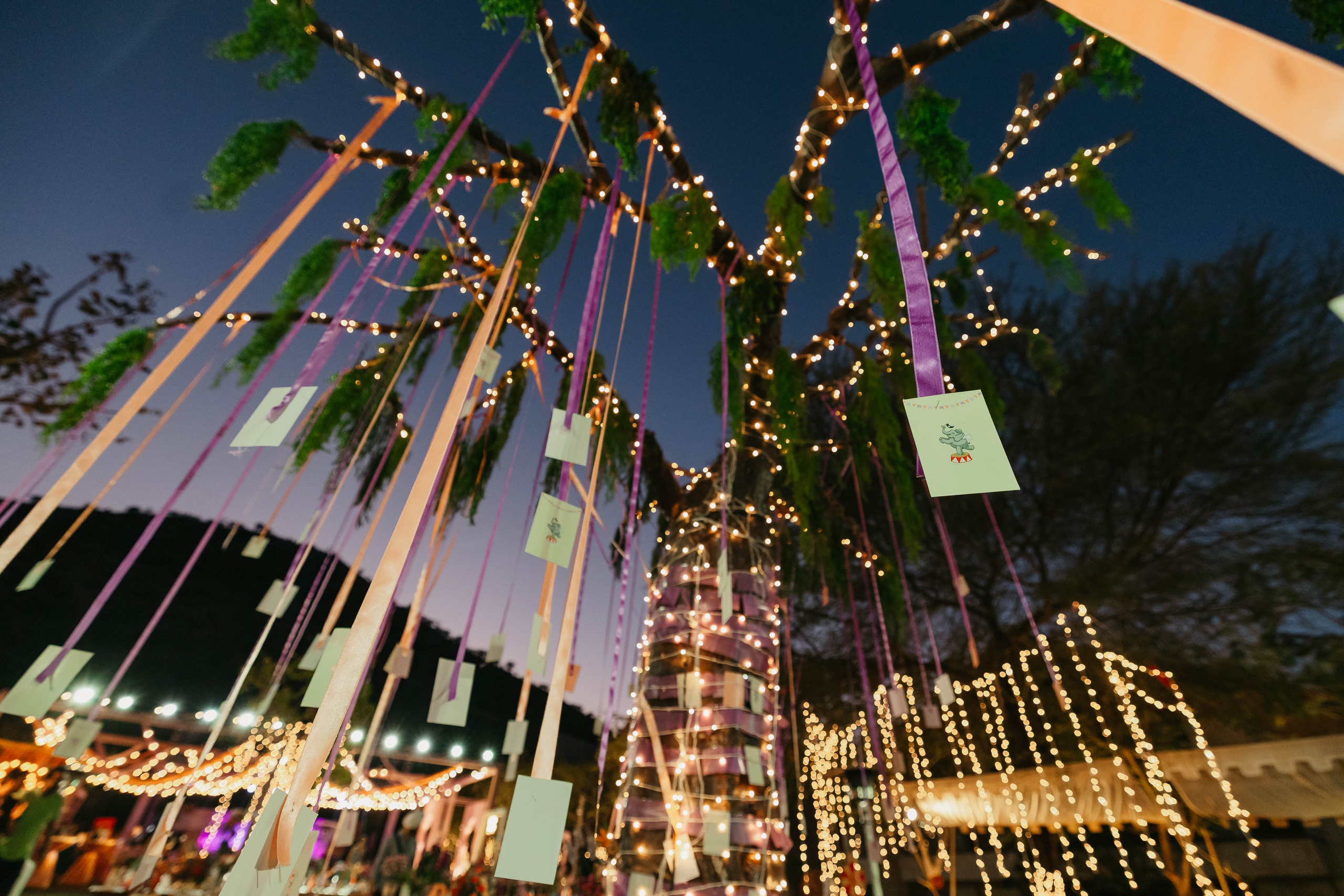 TRISHNA & LIAM. Sijo Chacko — Wedding Photographer⁠