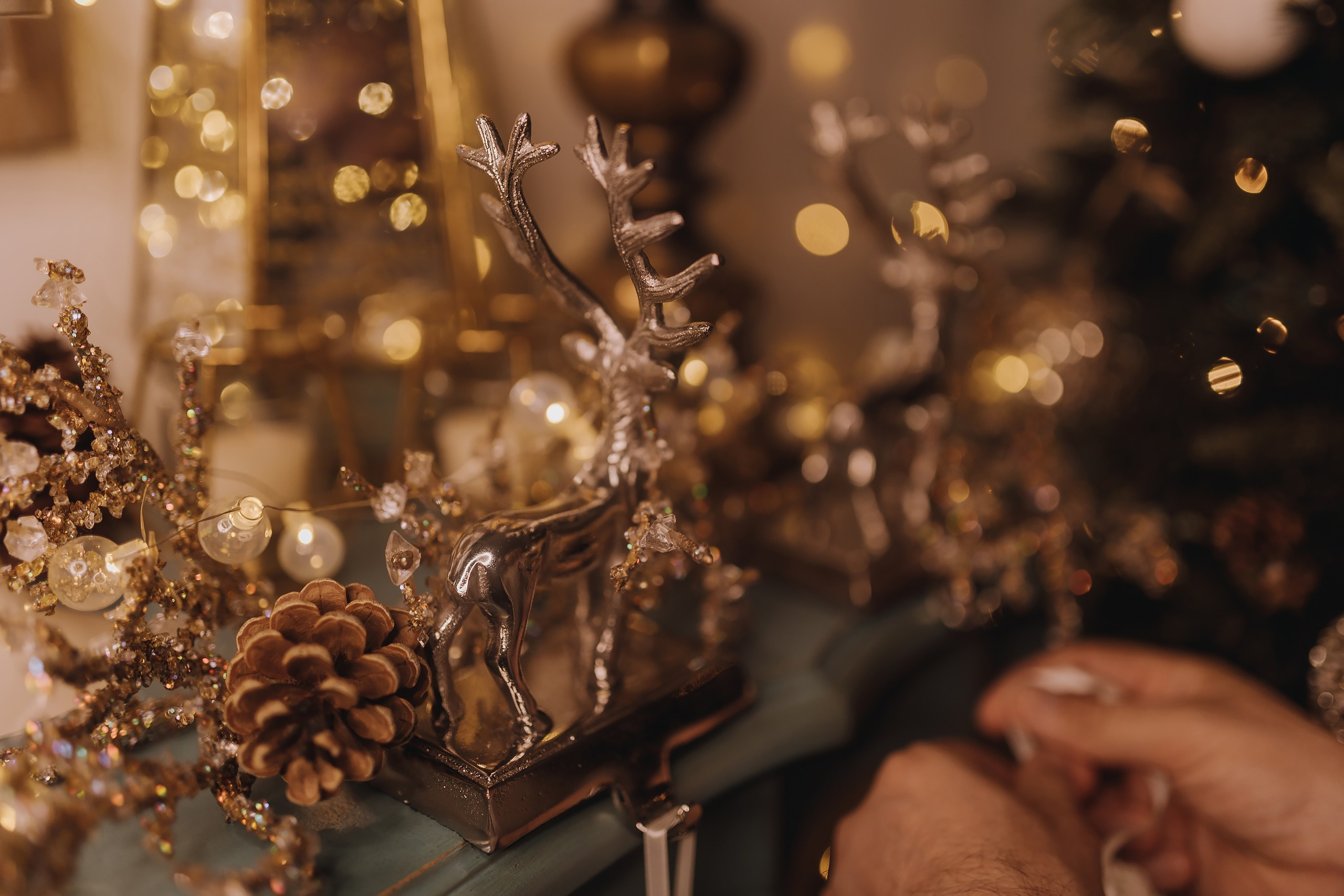 25.11.2023 Christmas Photoshoot. Wedding family event photographer in Chicago Nick Yushevich