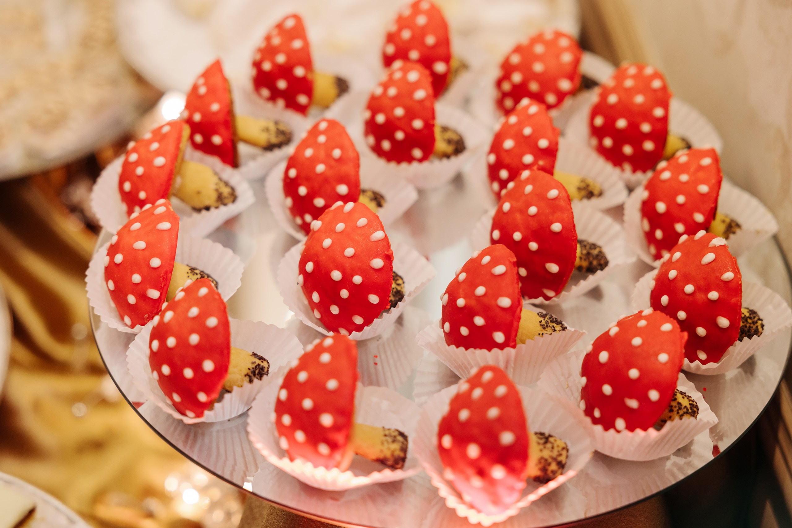 05.10.2024 Wedding. Wedding family event photographer in Chicago Nick Yushevich