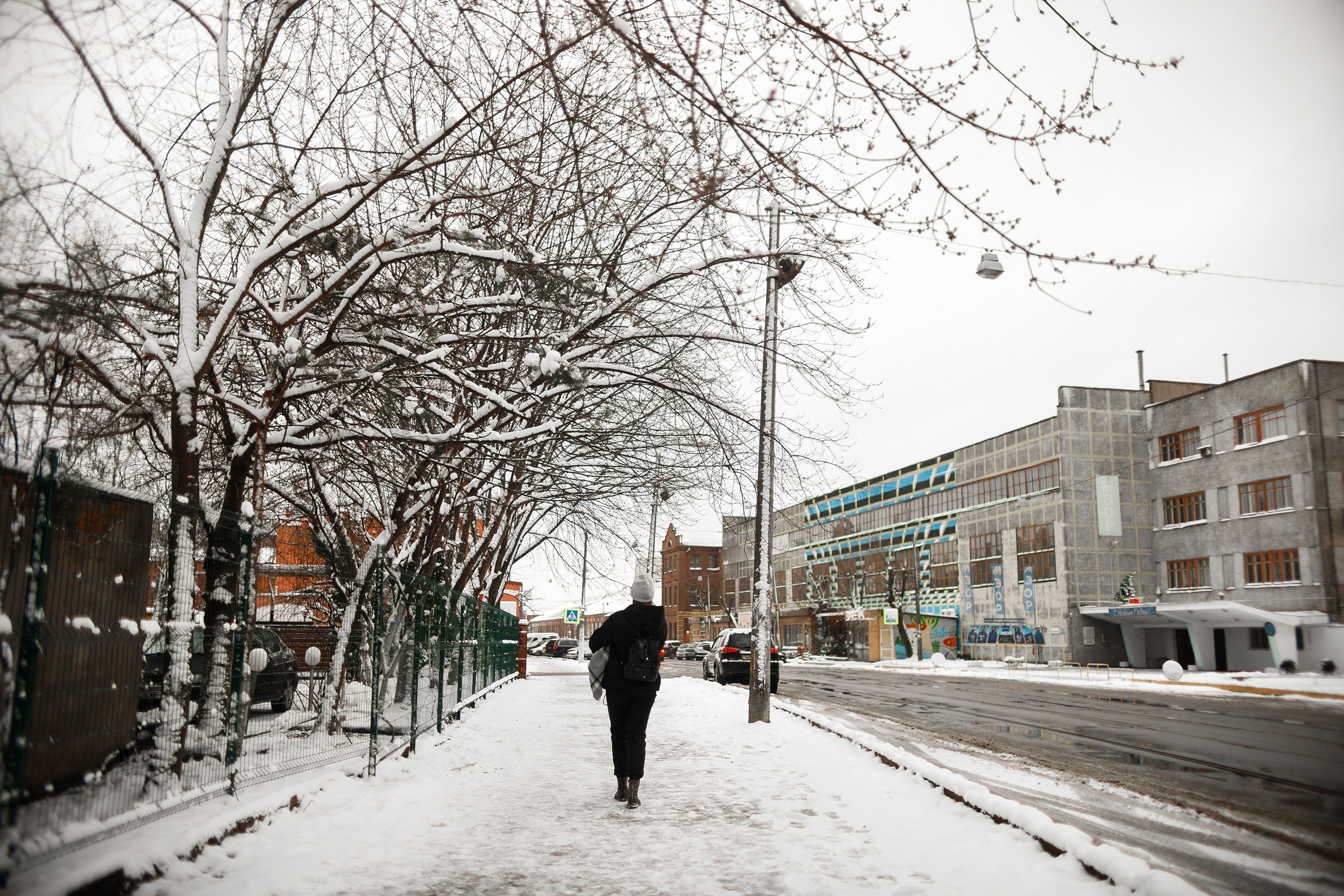 Uliana & winter spaniels. Kaja | fotograf psów we Wrocławiu