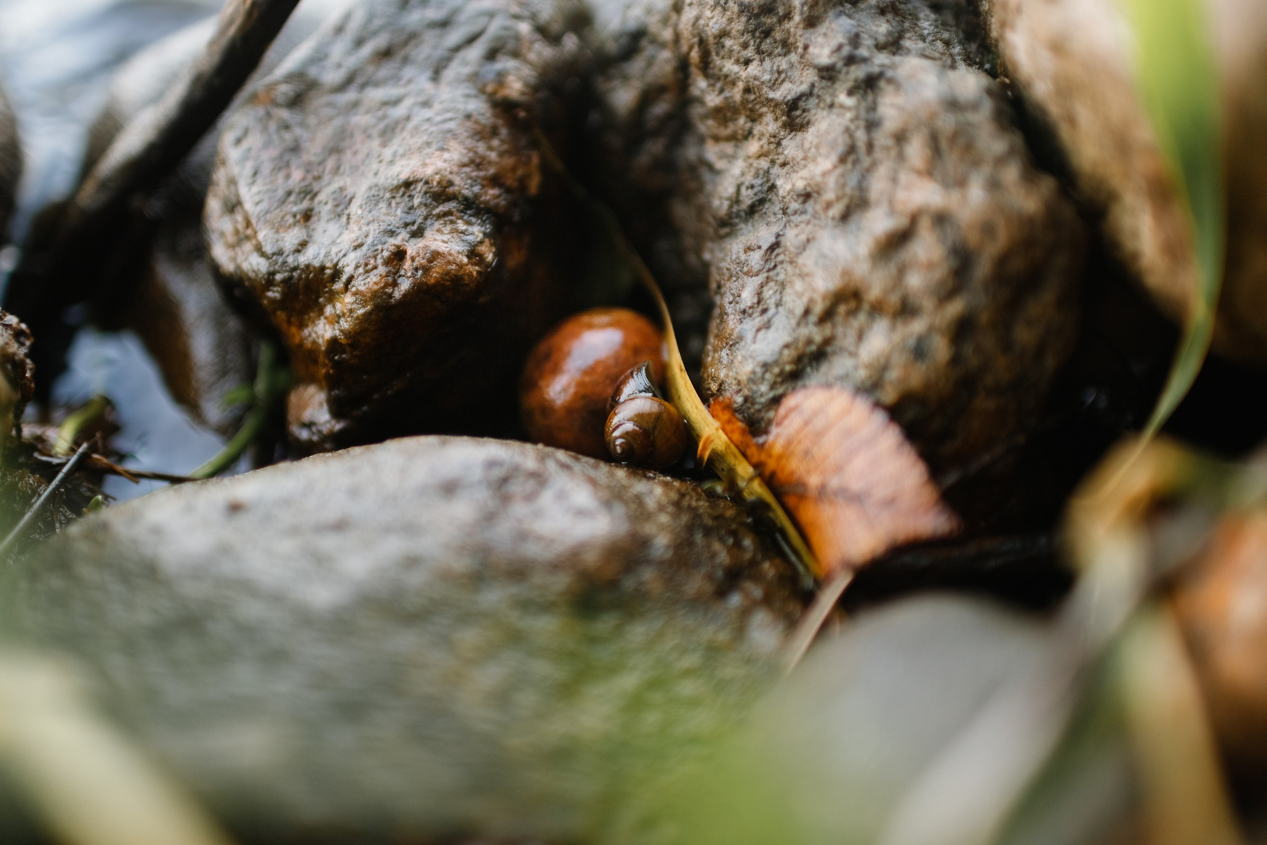 One small village in Grodno region. Kaja | fotograf we Wrocławiu | ludzie i psy