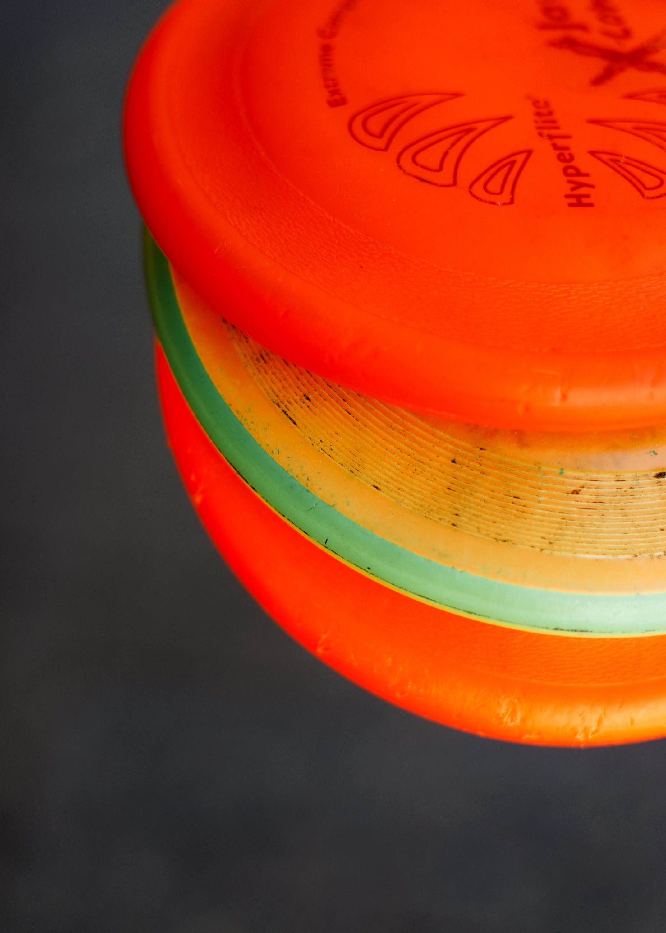 Dog trainer blog content. Kaja | fotograf we Wrocławiu | ludzie i psy