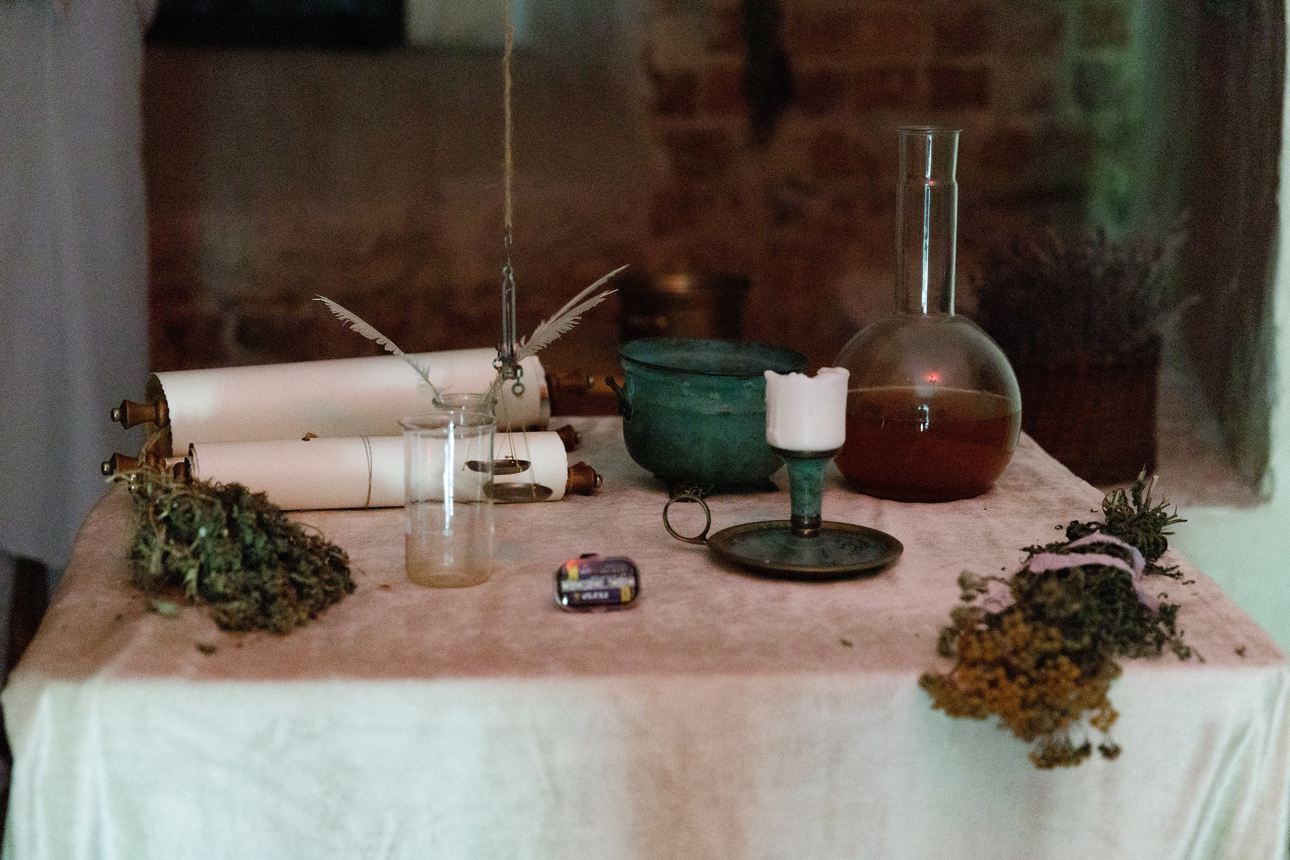 Oleśnica castle. Kaja | fotograf psów we Wrocławiu