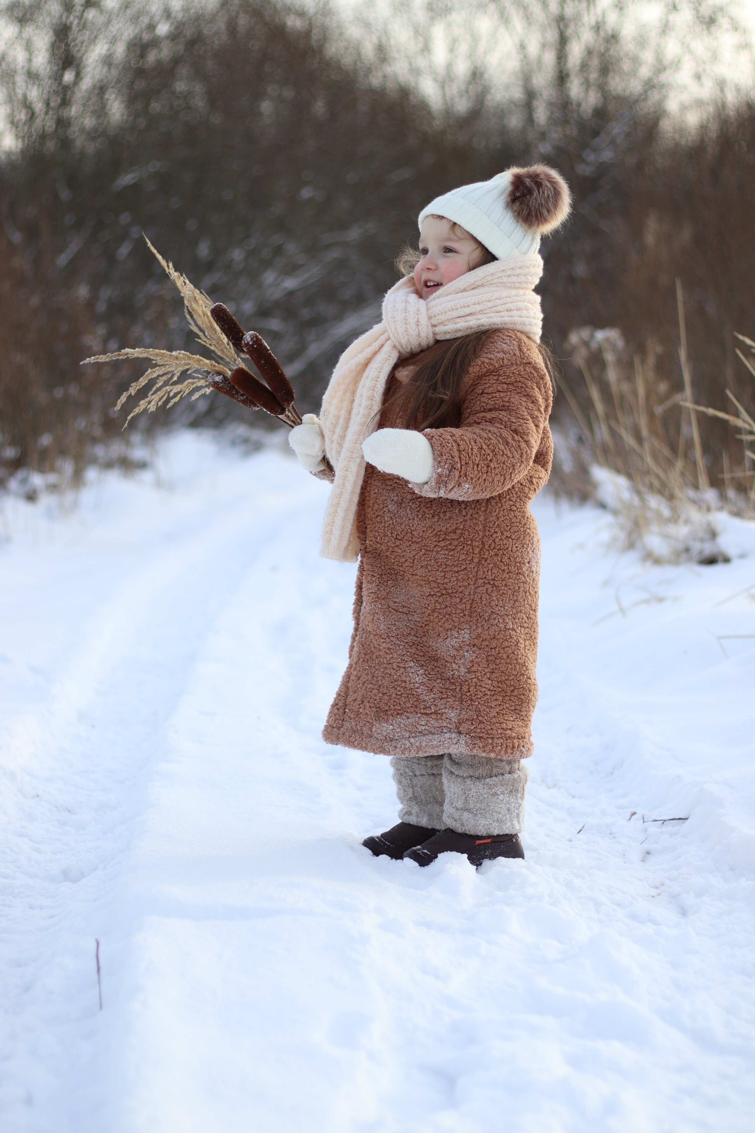 Зимняя сказка