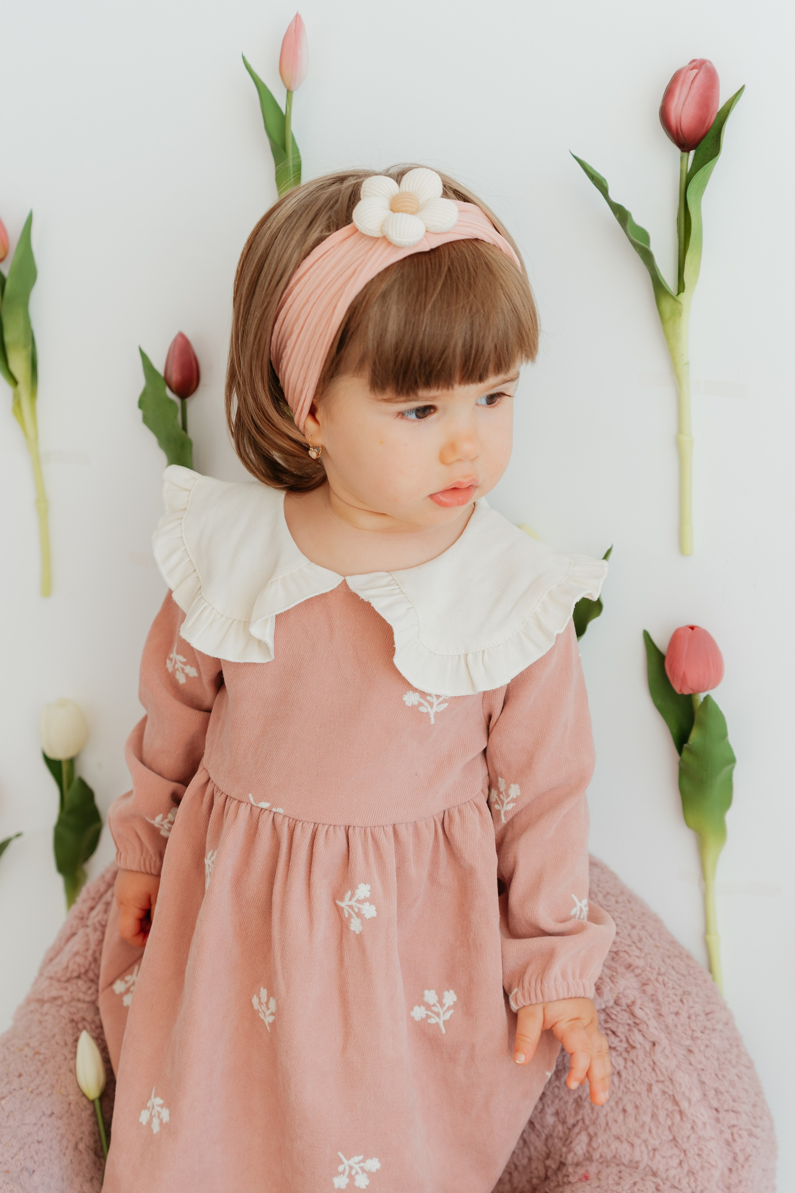 SPRING SESSION. Ars Vidi | Digital Solutions