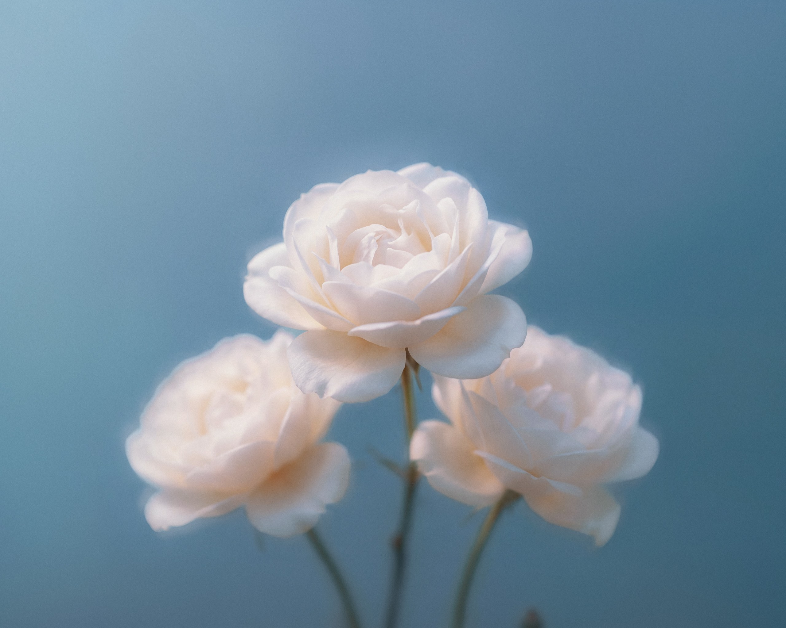 Images of things and items