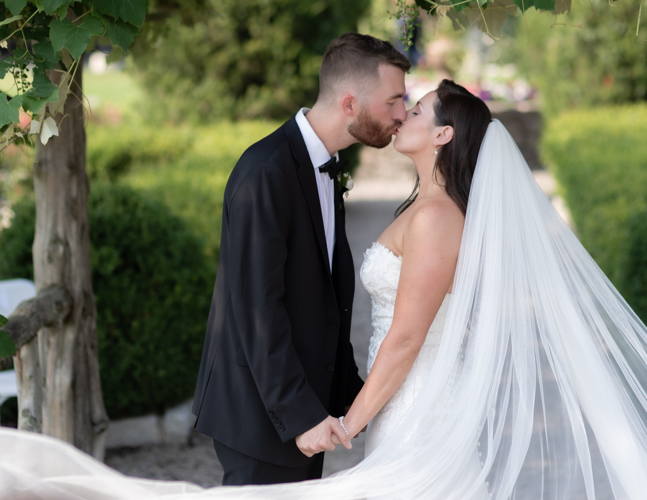 Angelica & Conor. Wedding Photo & Video
