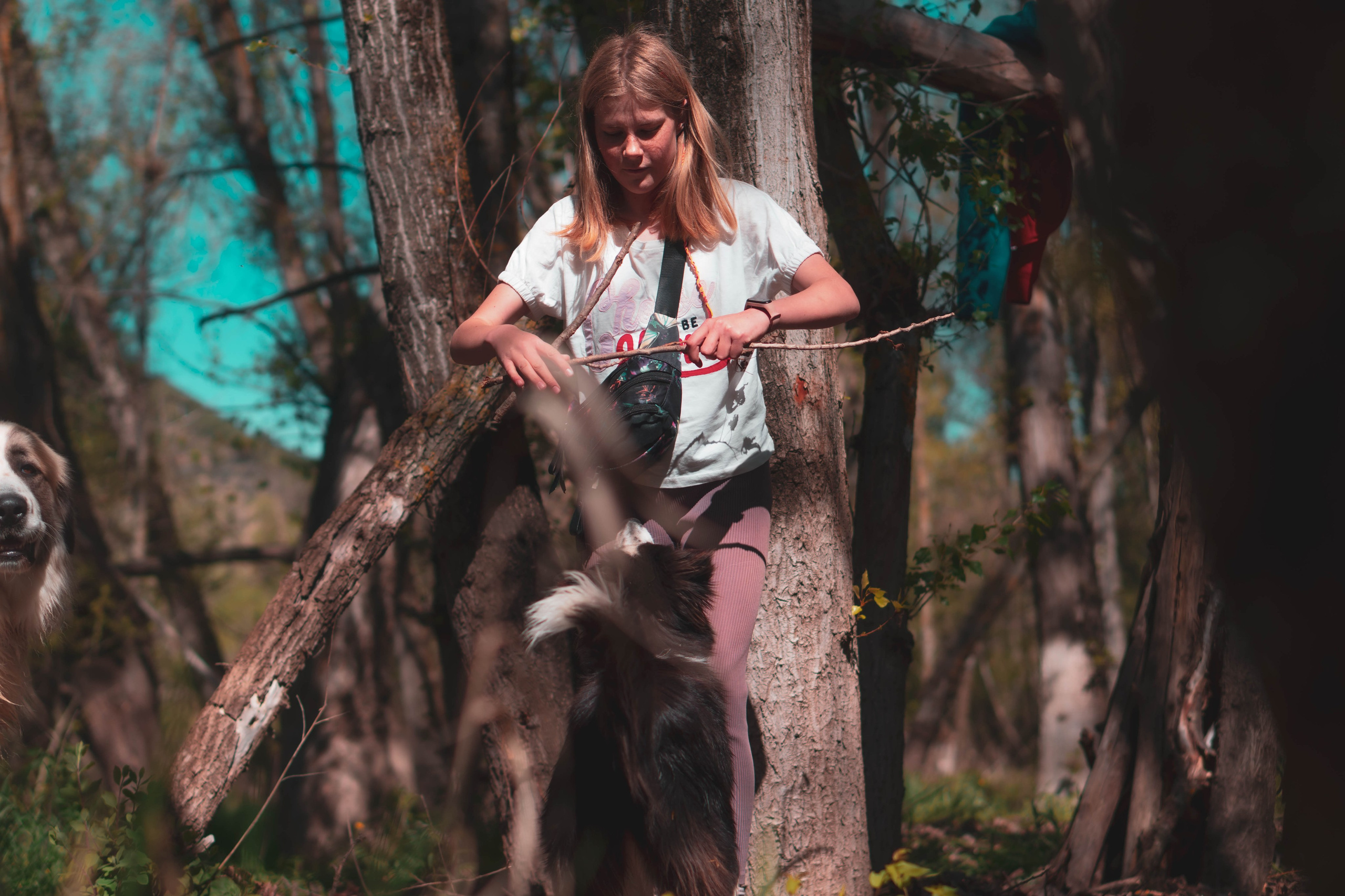 Noa&Agnia. Alba del Norte Studio