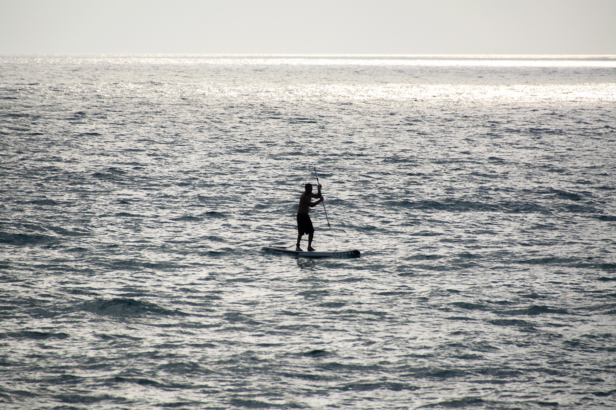 Lonely surfer in the sea at sunset