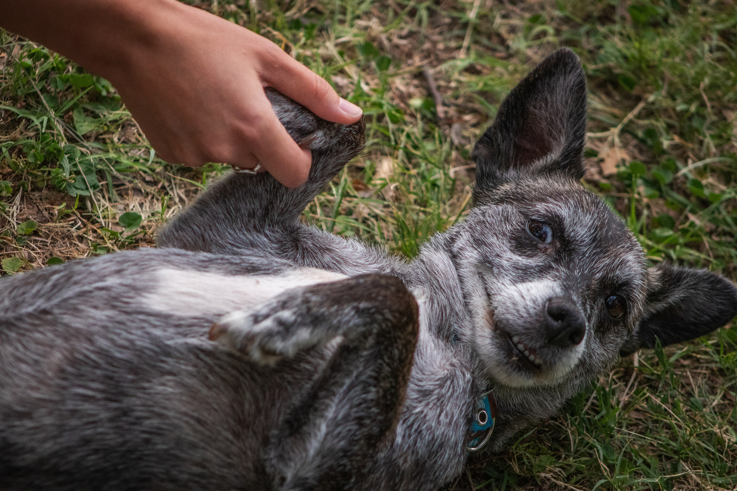 Maya & Pablo. Fotógrafo en Mendoza Alexander Safonov