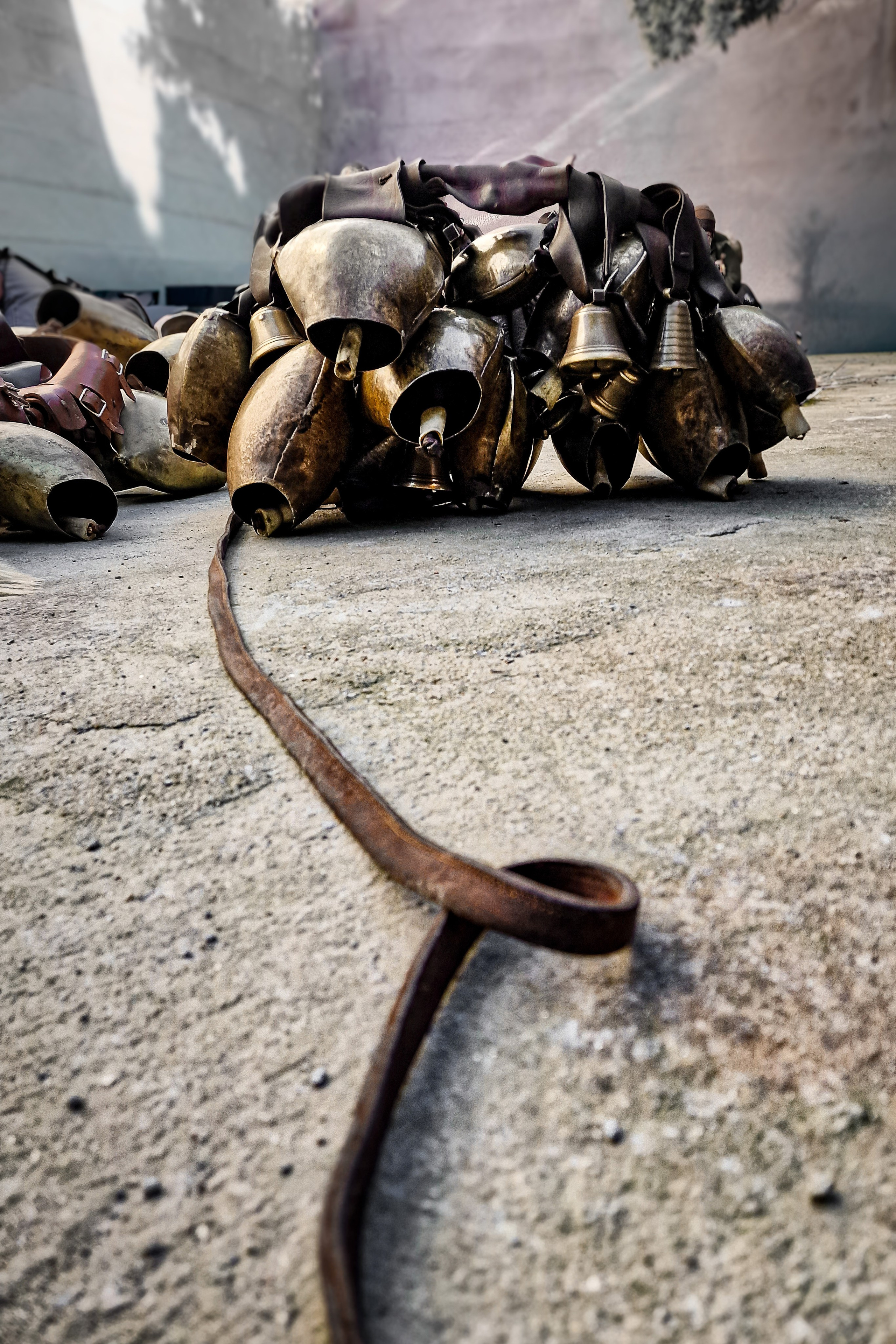 Carnevale. Olga Manukhina fotografo in Sardegna