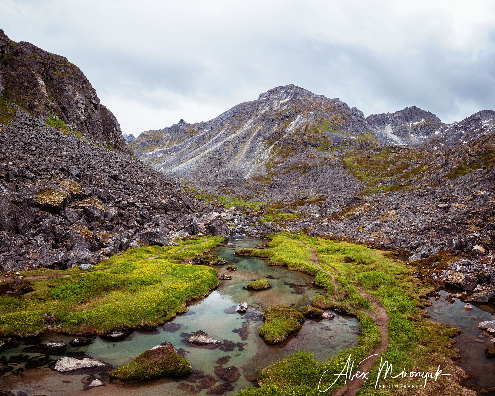 Magnificent Ice. Alaska on RV. Pet, Senior, Landscape, portrait studio, photographer in Miami and Sou