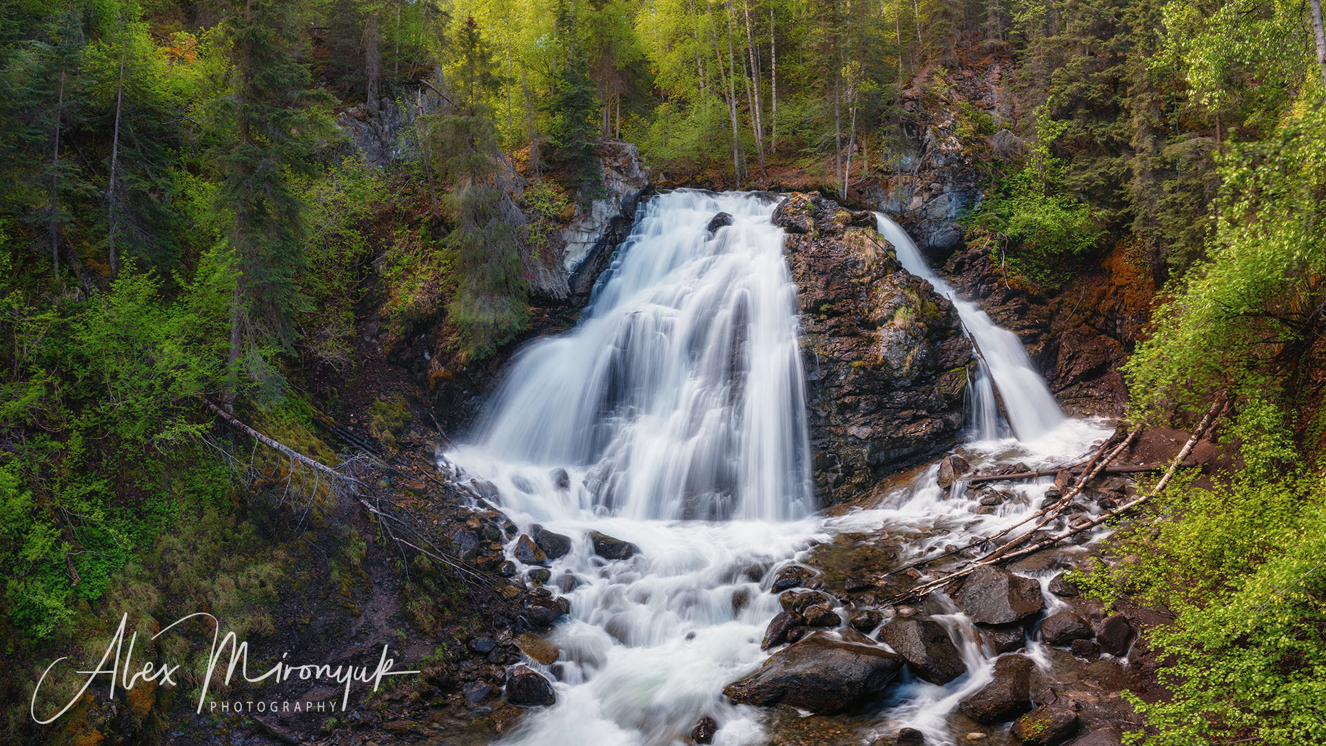 Magnificent Ice. Alaska on RV. Pet, Senior, Landscape, portrait studio, photographer in Miami and Sou