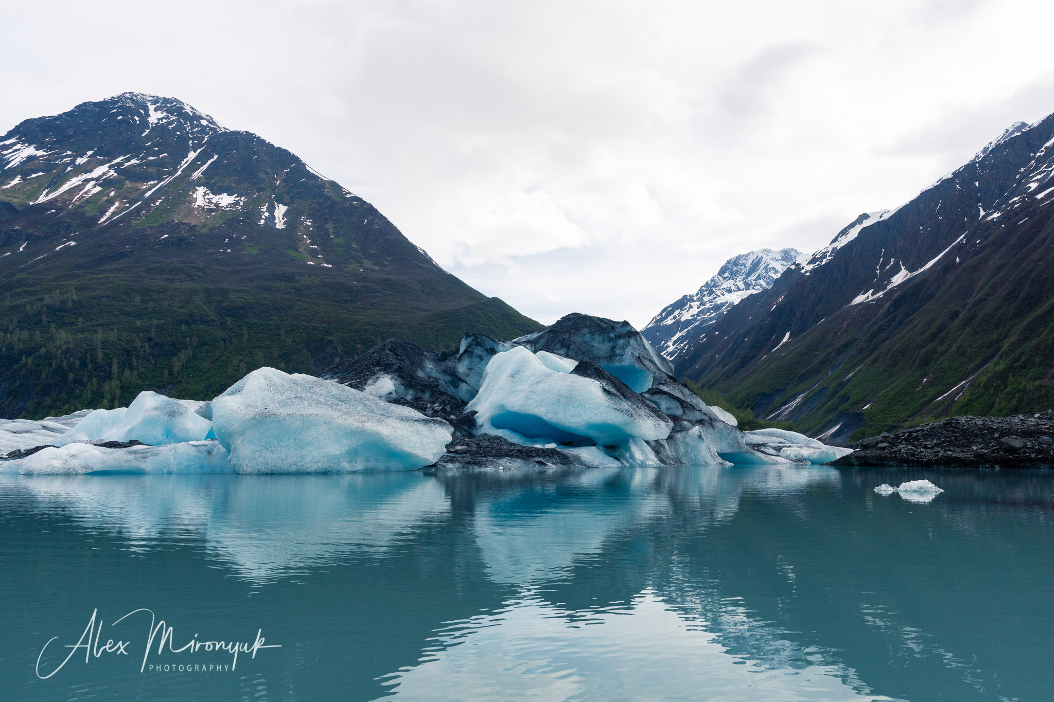 Magnificent Ice. Alaska on RV. Pet, Senior, Landscape, portrait studio, photographer in Miami and Sou