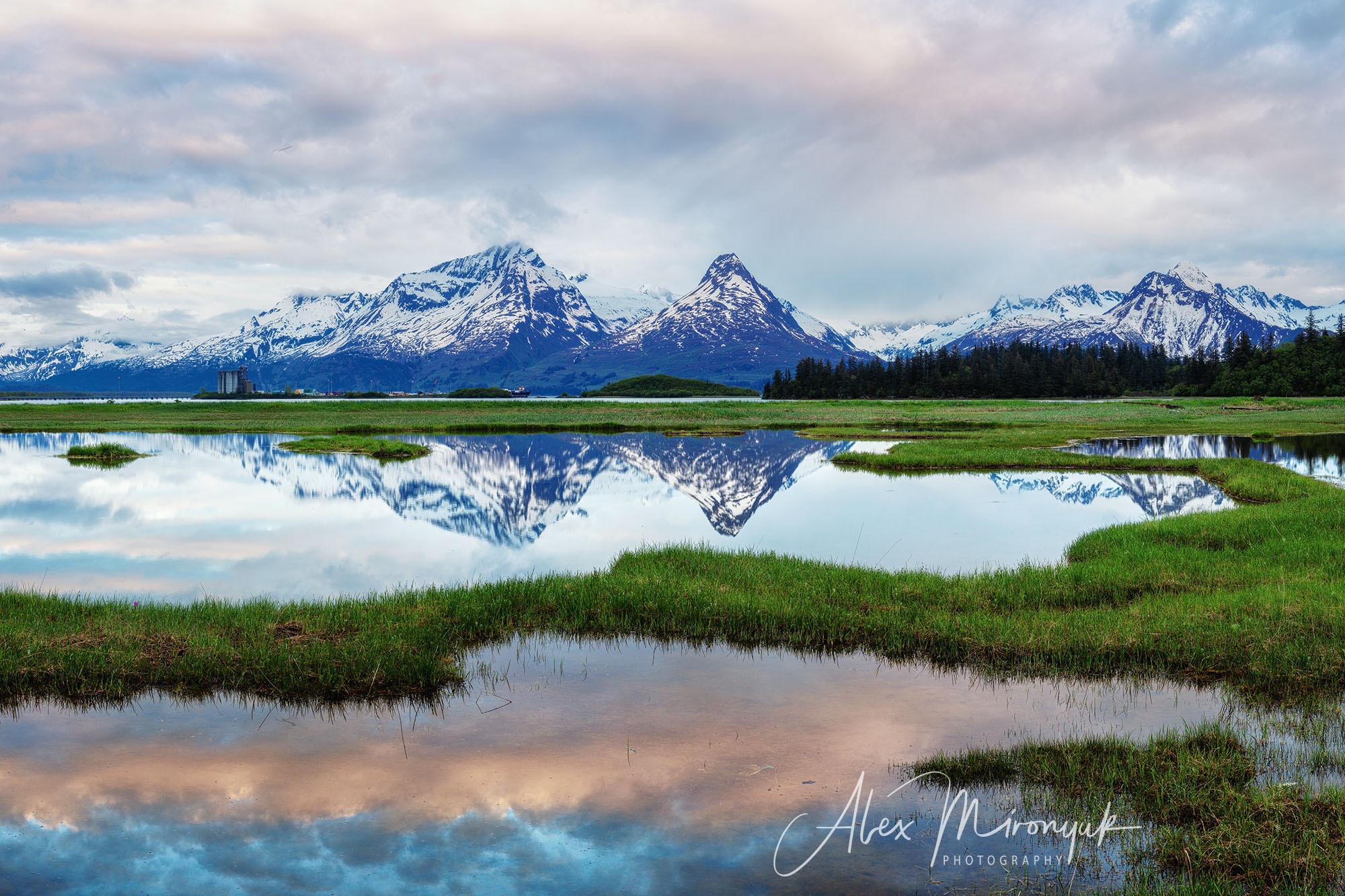 Magnificent Ice. Alaska on RV. Pet, Senior, Landscape, portrait studio, photographer in Miami and Sou