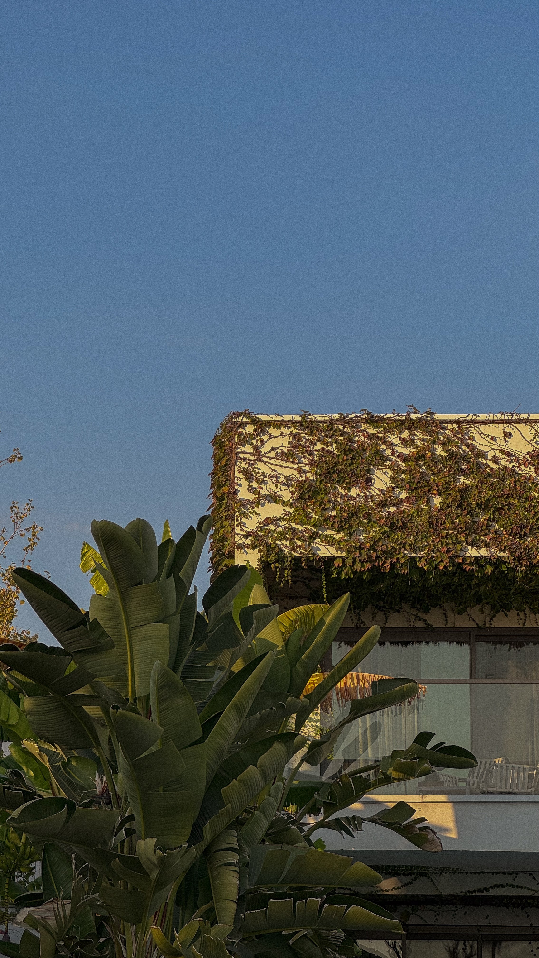 Paloma Finesse. Professional photographer and videographer specializing in filming hot