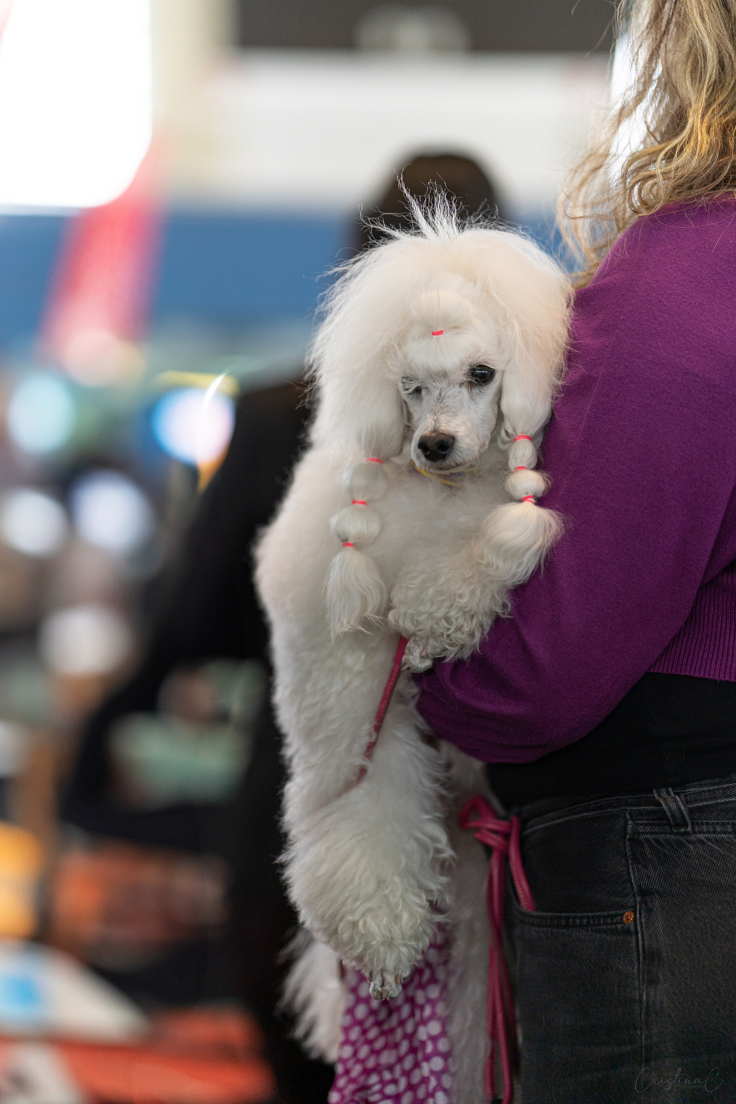 Pet Expo 2025. Bycristinaciobanu