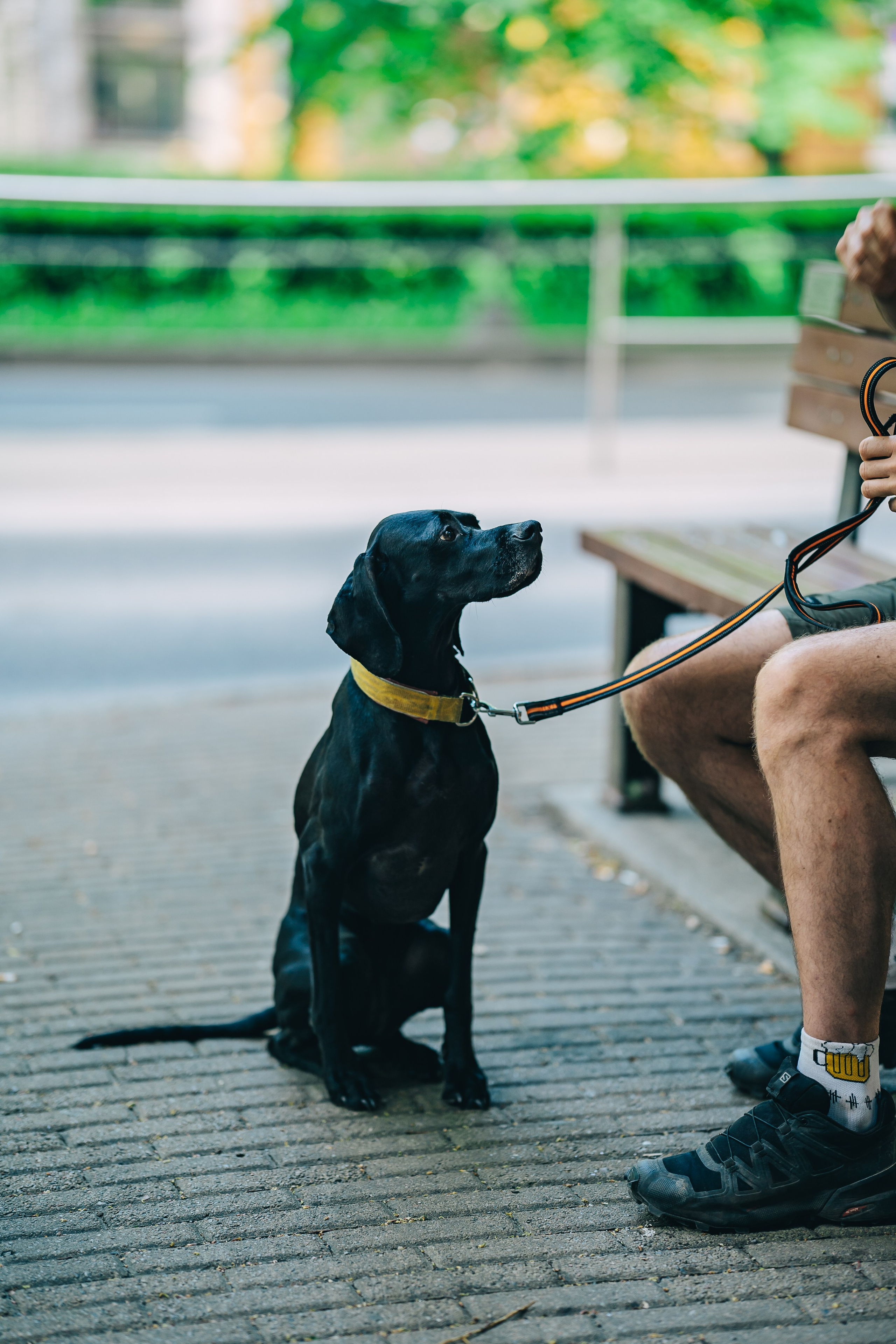 Street photo. Uvarovsphoto