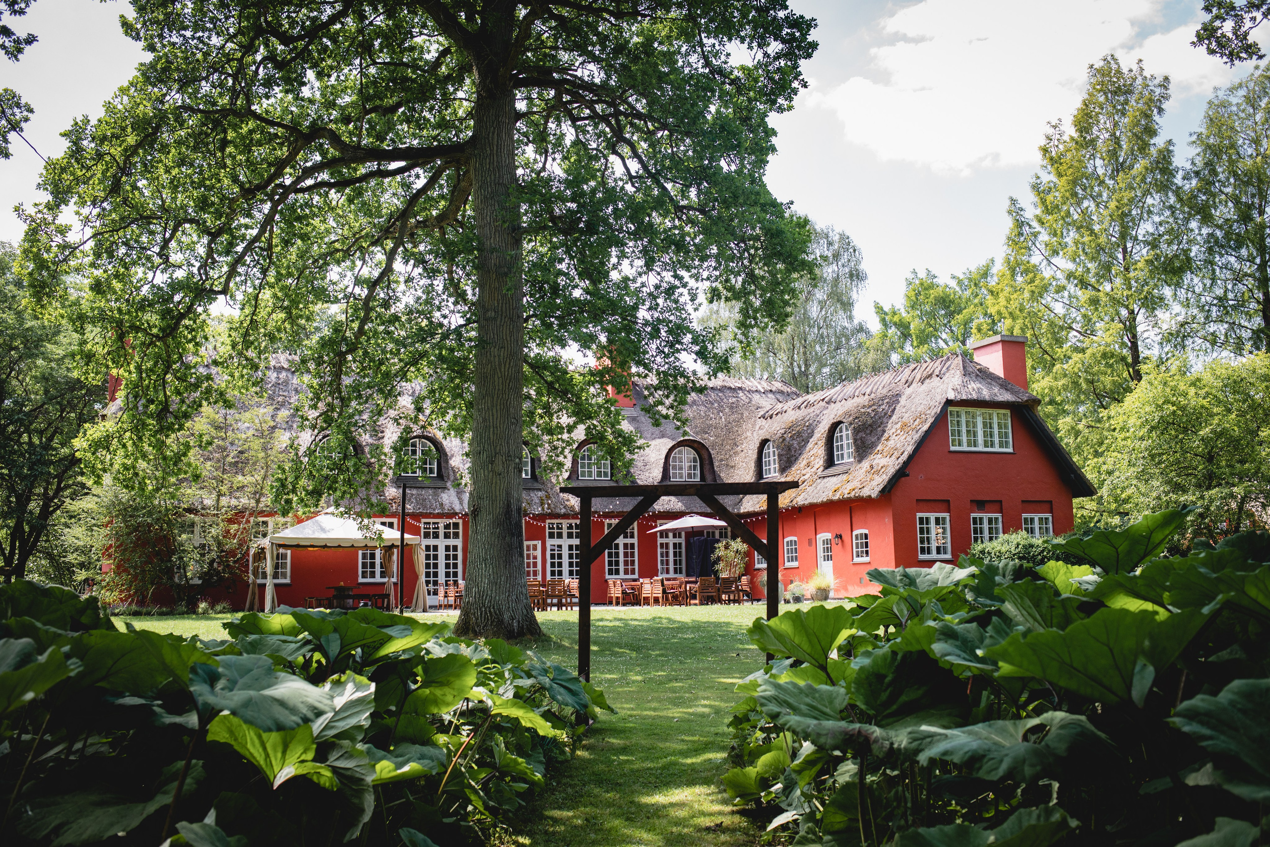 Elissa | Mads. Professional wedding photographer in Copenhagen, Denmark — Julia Byron