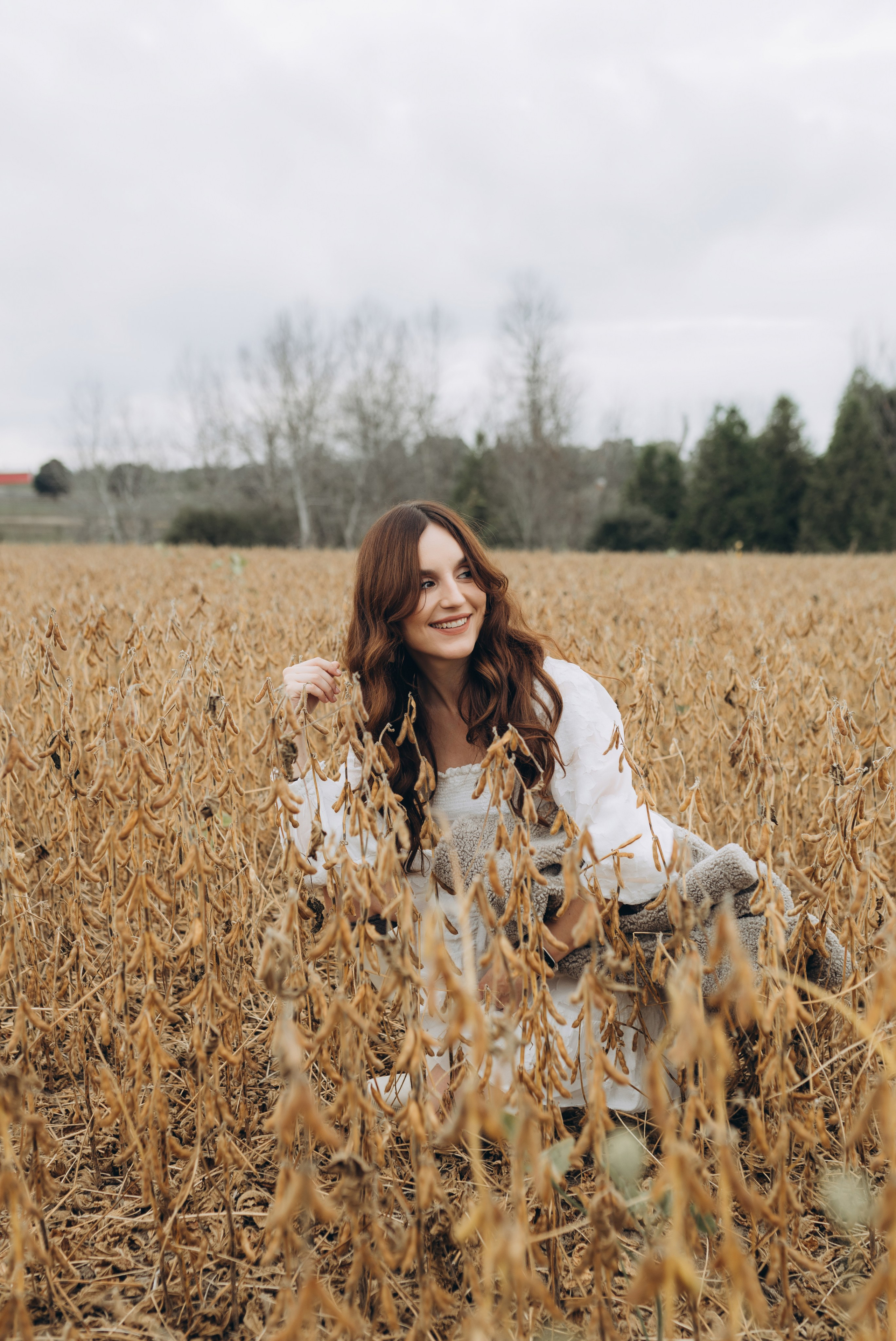 Alpacas Farm. Chernenko.photography