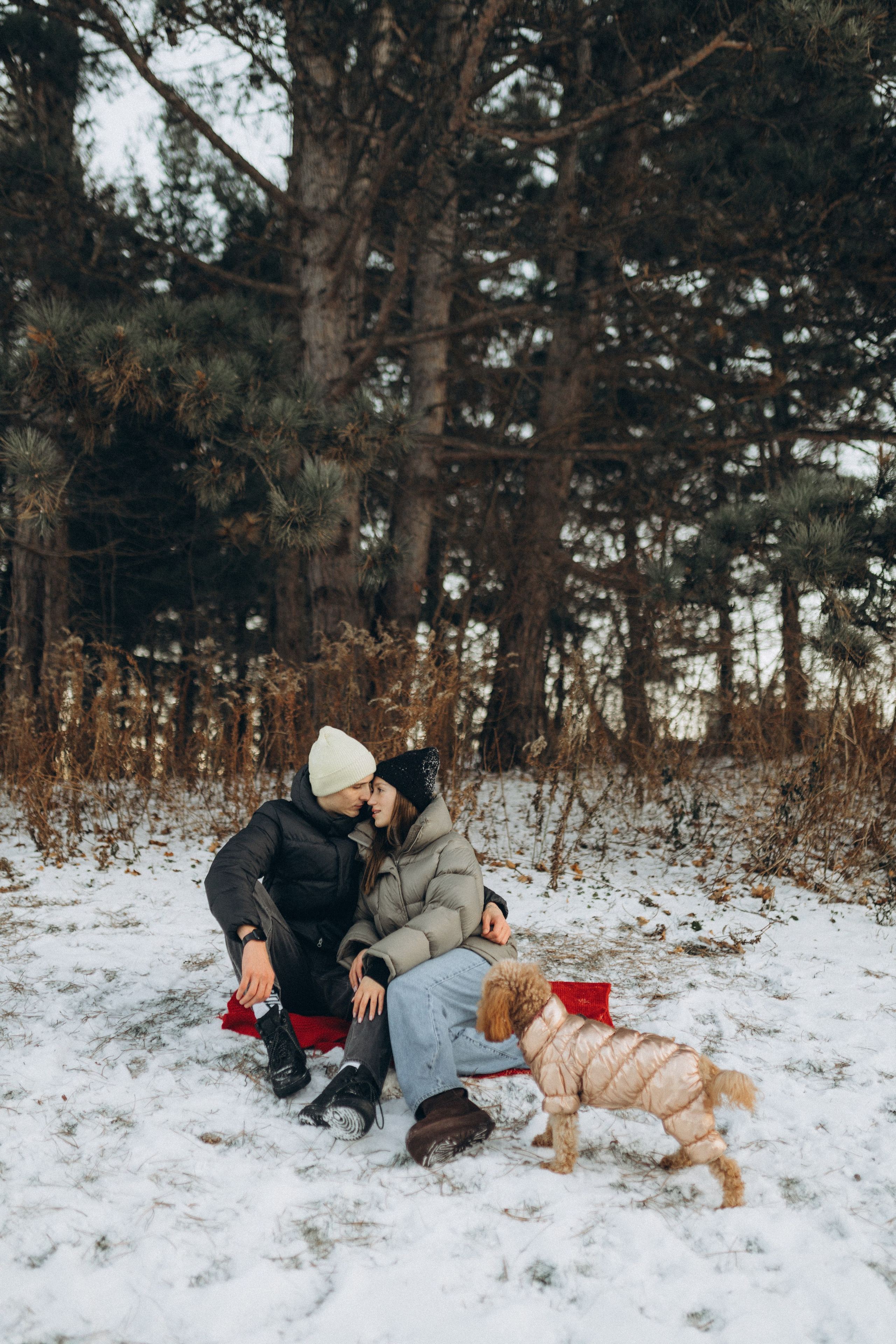 Winter magic. Chernenko.photography