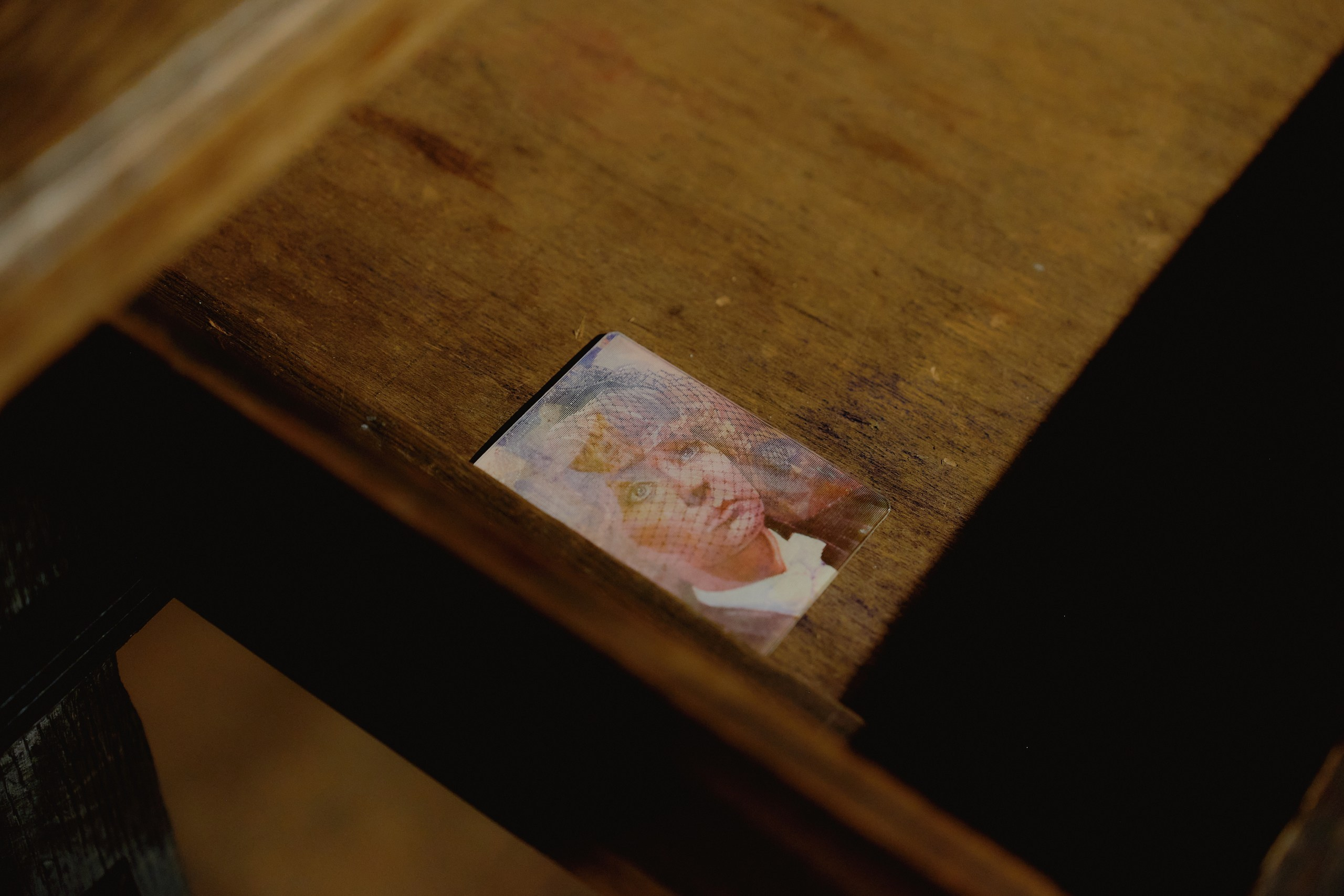 Spira mirabilis| Удивительная спираль. Alina Kugush