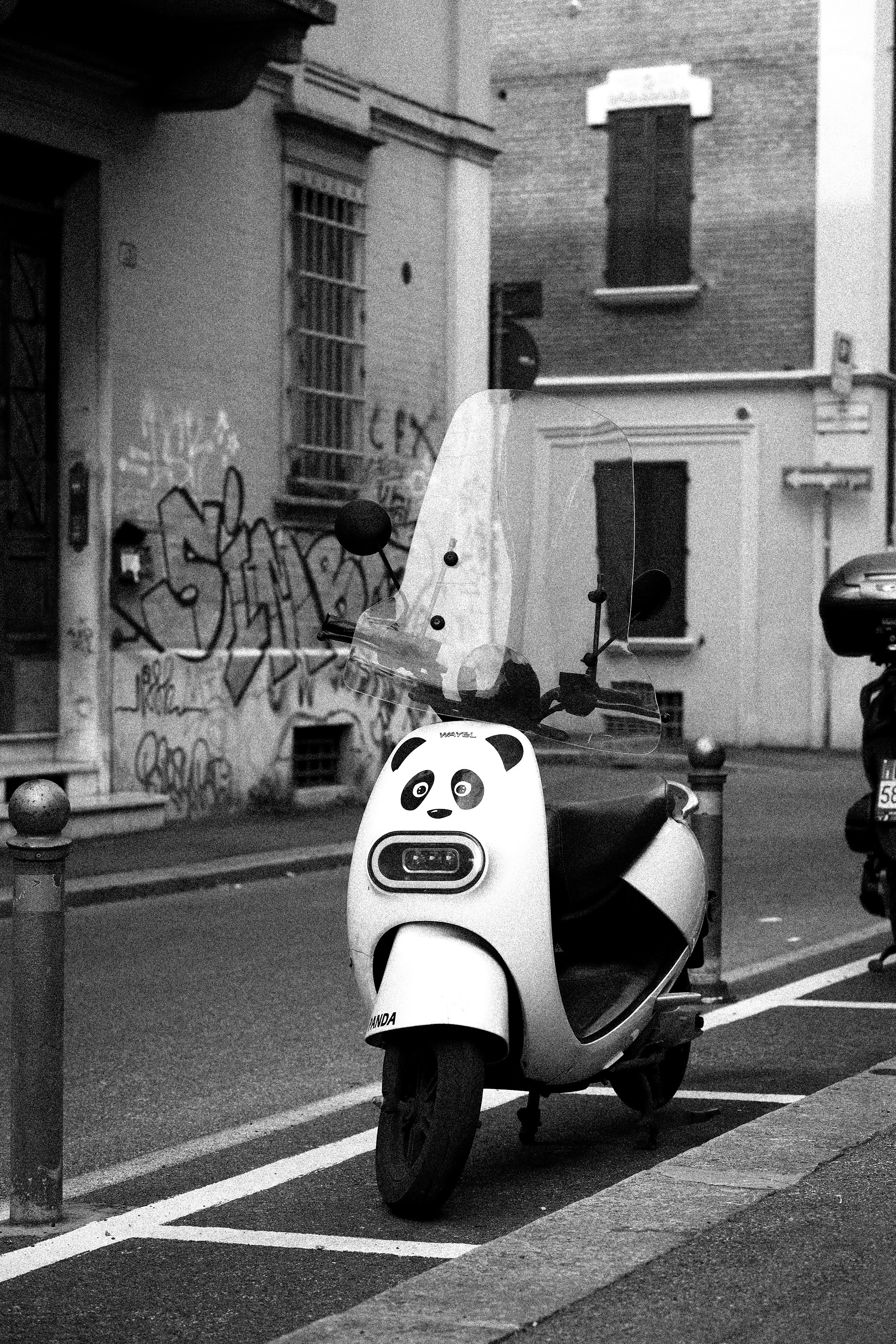 BNW Around Photography