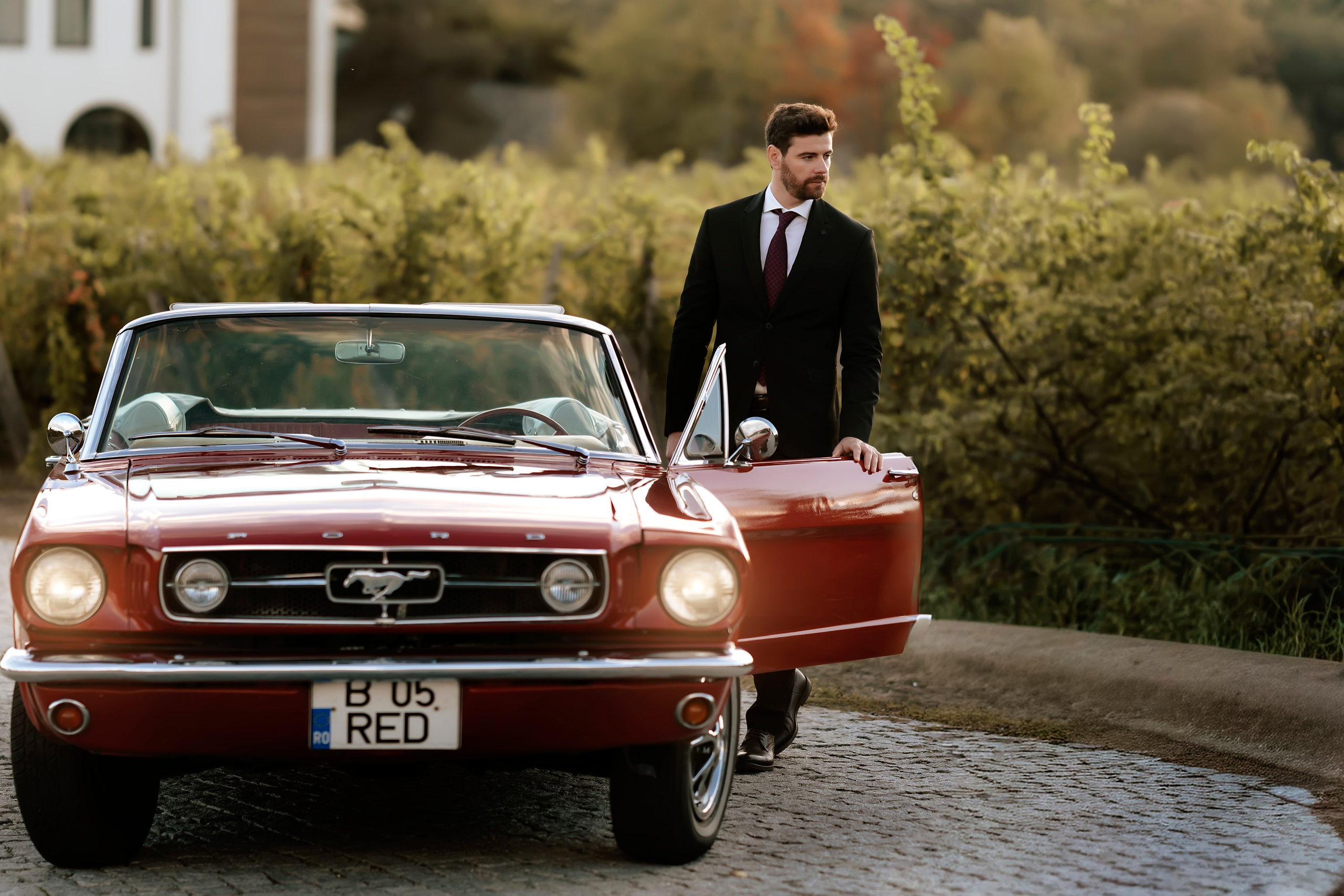 Mihai & Denisa. Romeo Dimache — Wedding photographer in Romania
