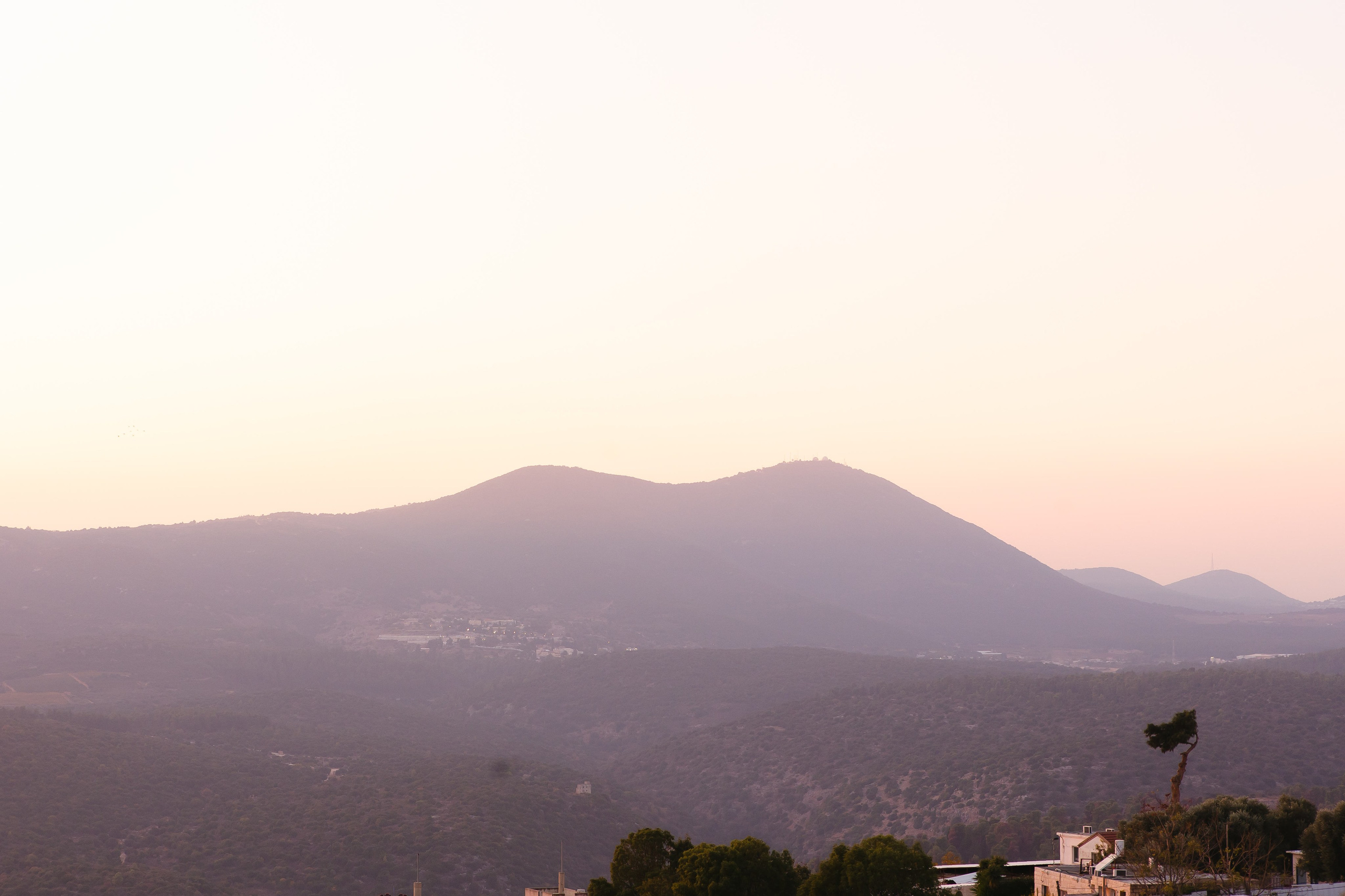 Dreams Came True. Https://shi-photo.com/