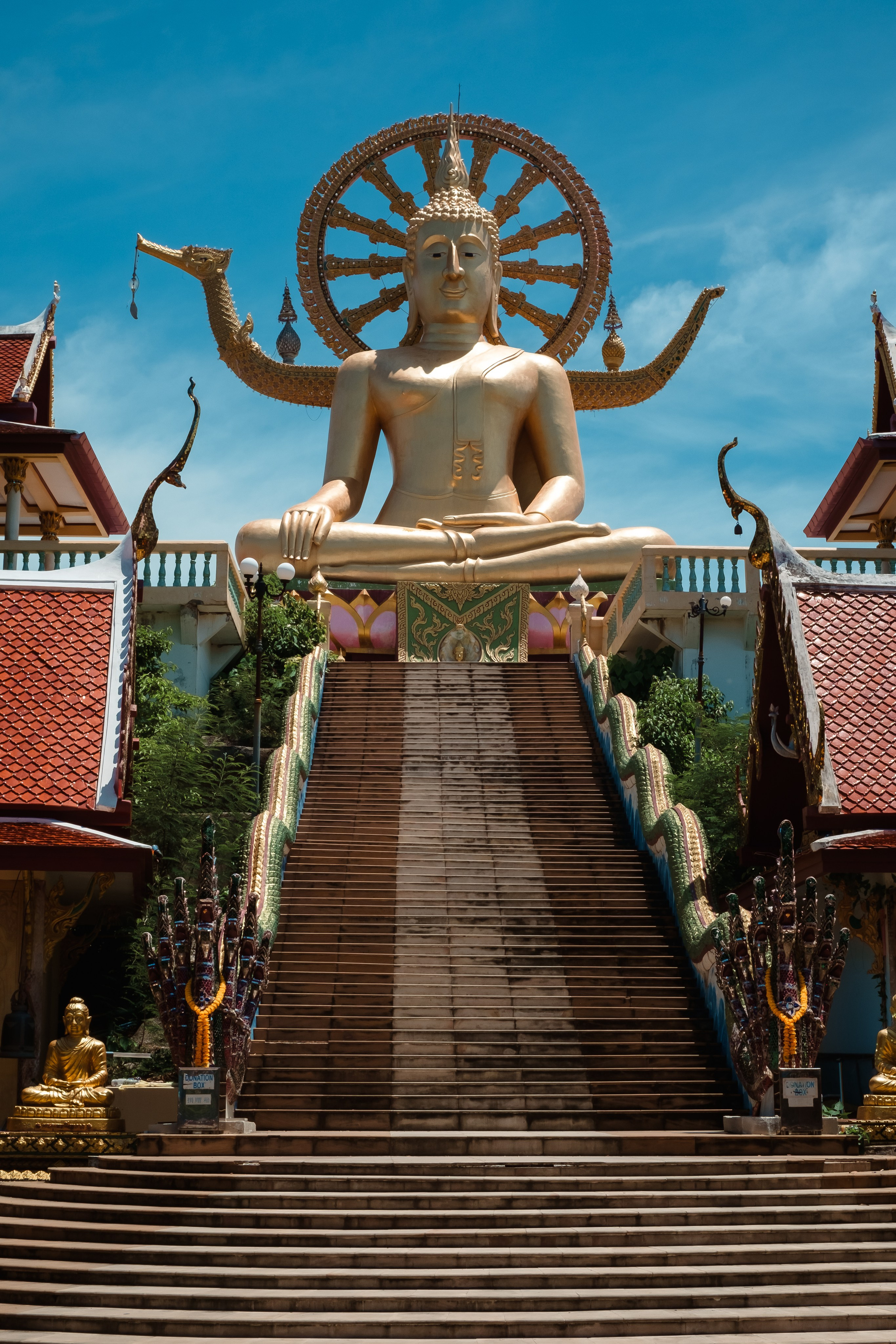 Life of Samui. Graytail Photo