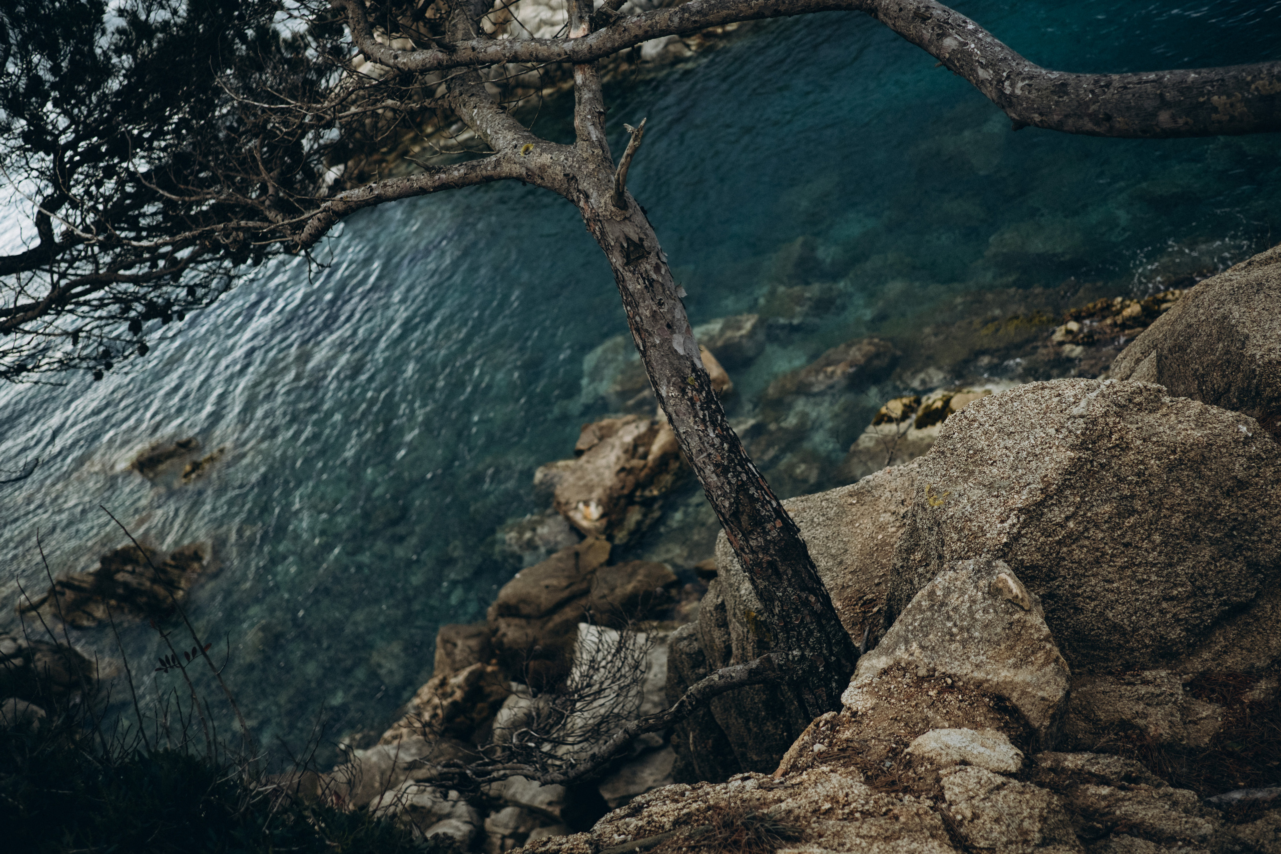 Gallery. Photographer Irina