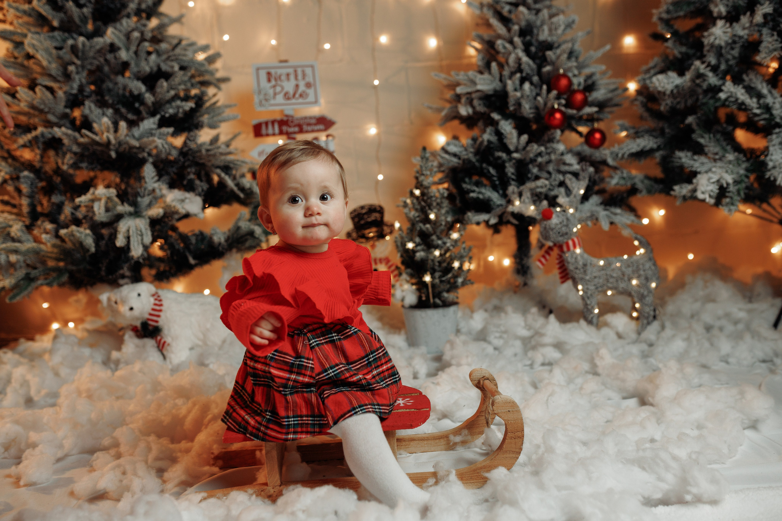 Christmas Time. Https://valeriubriciuc.com/