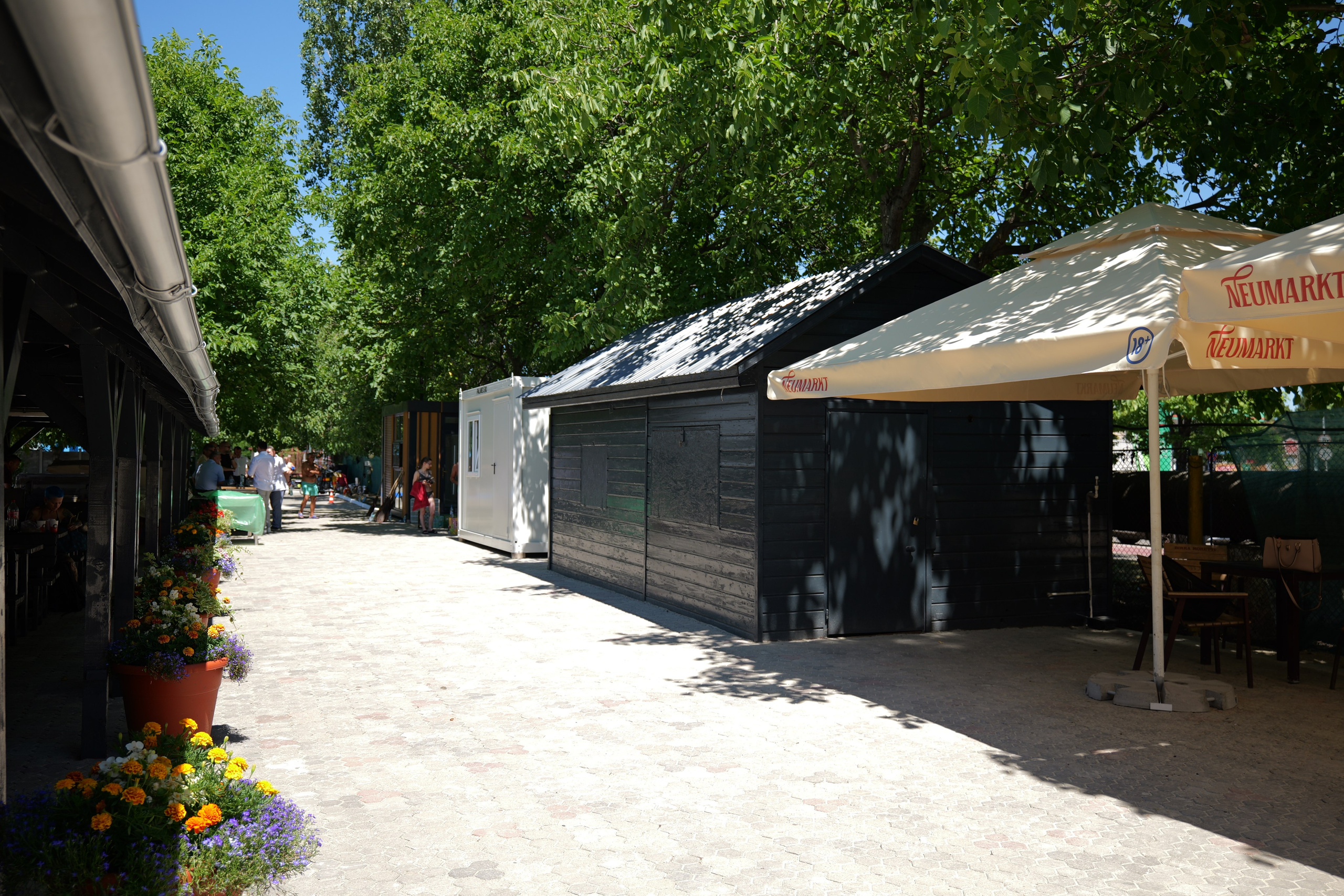 ȘTRAND DEVA — DESCHIDERE. Freesh Media Products