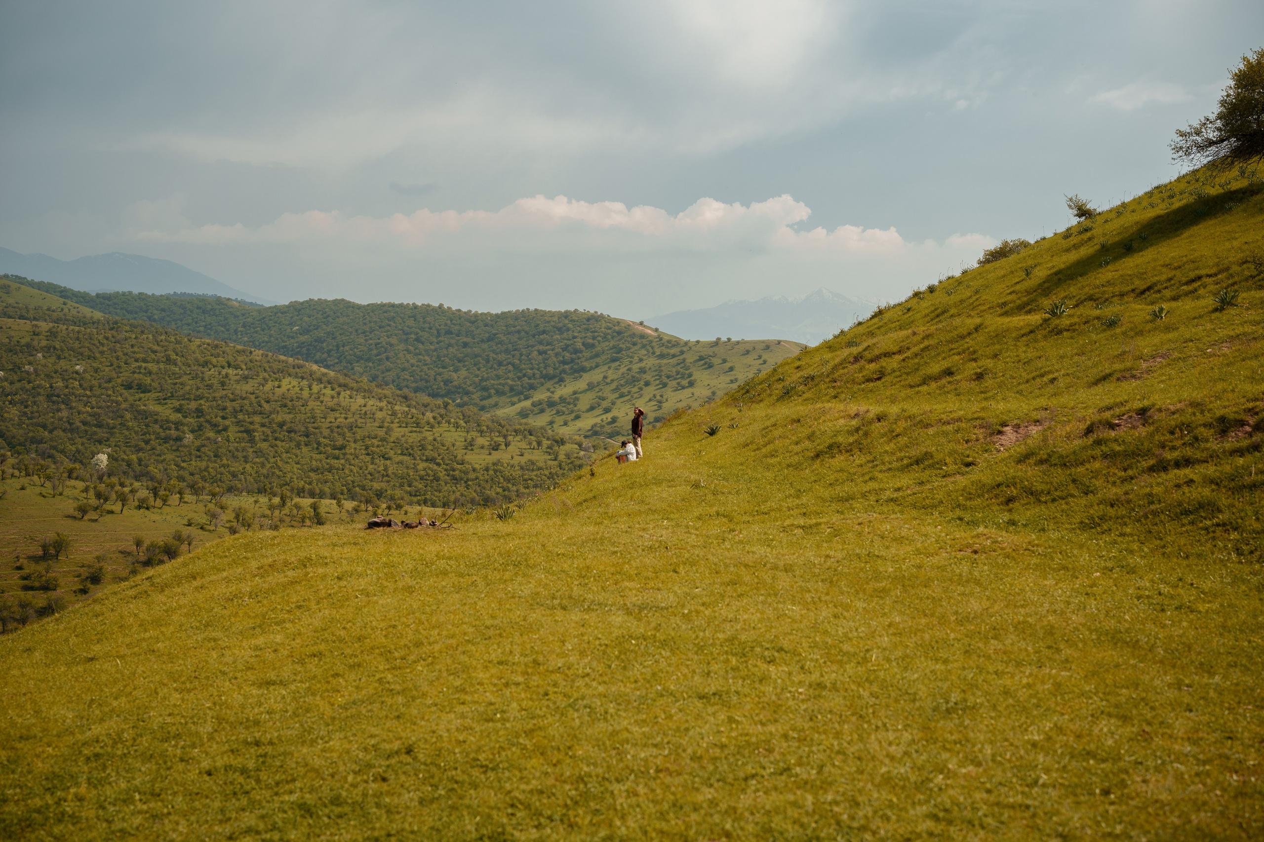 SIGMA 50 mm F1.2 DG DN Art. Фотограф Григорий Кравец