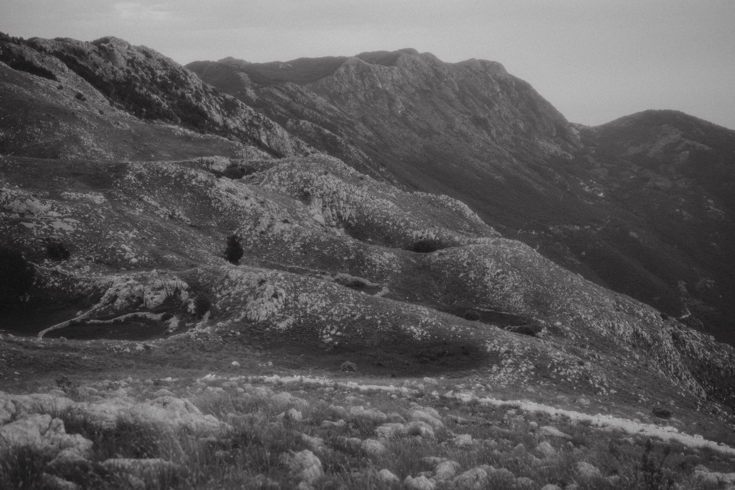 Миша и Катя. Фотограф Мила Ромашкина