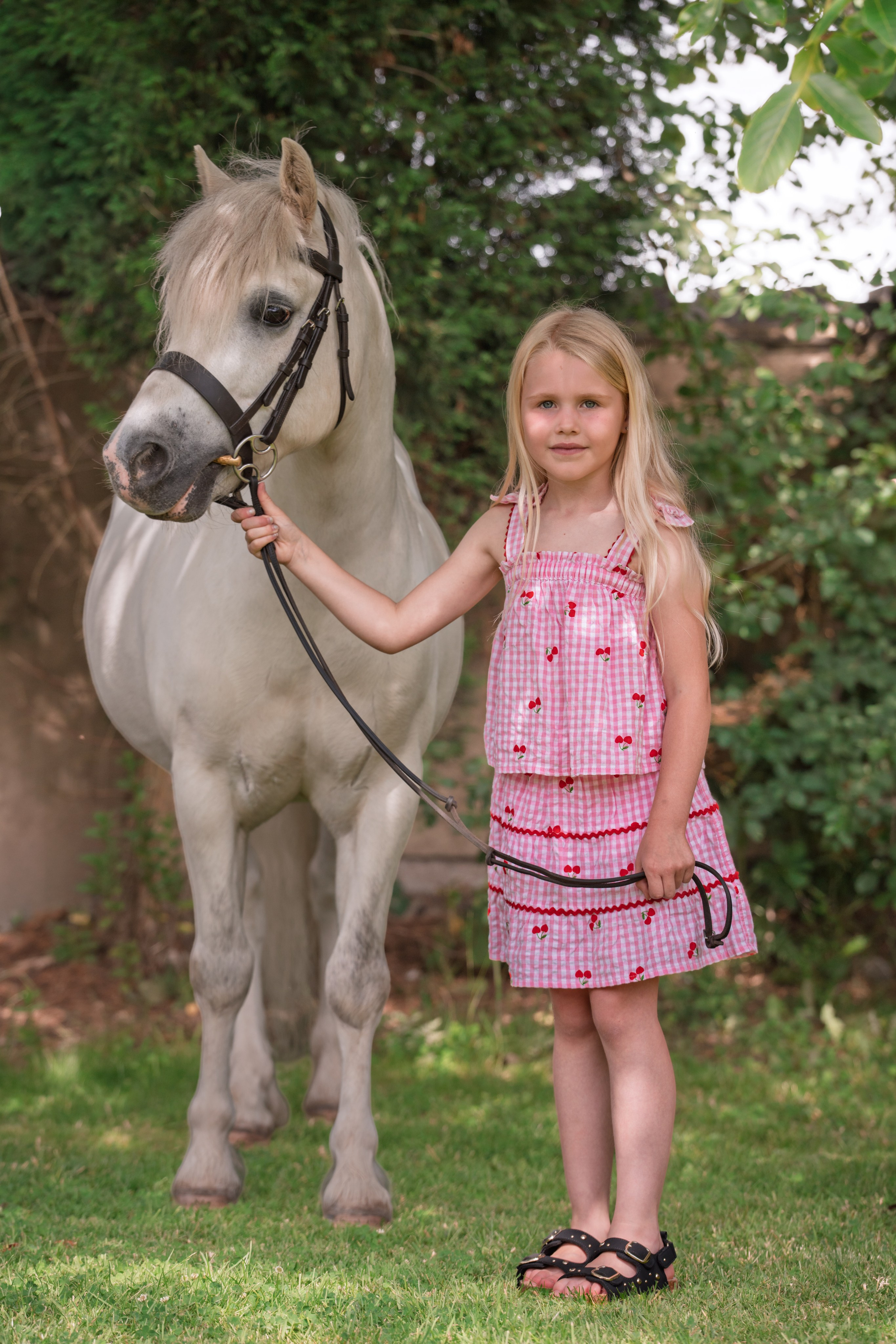 Equine Photography Portfolio | Leicestershire Horse Portrait Photographer. Leicestershire Equine Photography by El | Authentic Equine Portraits & Events