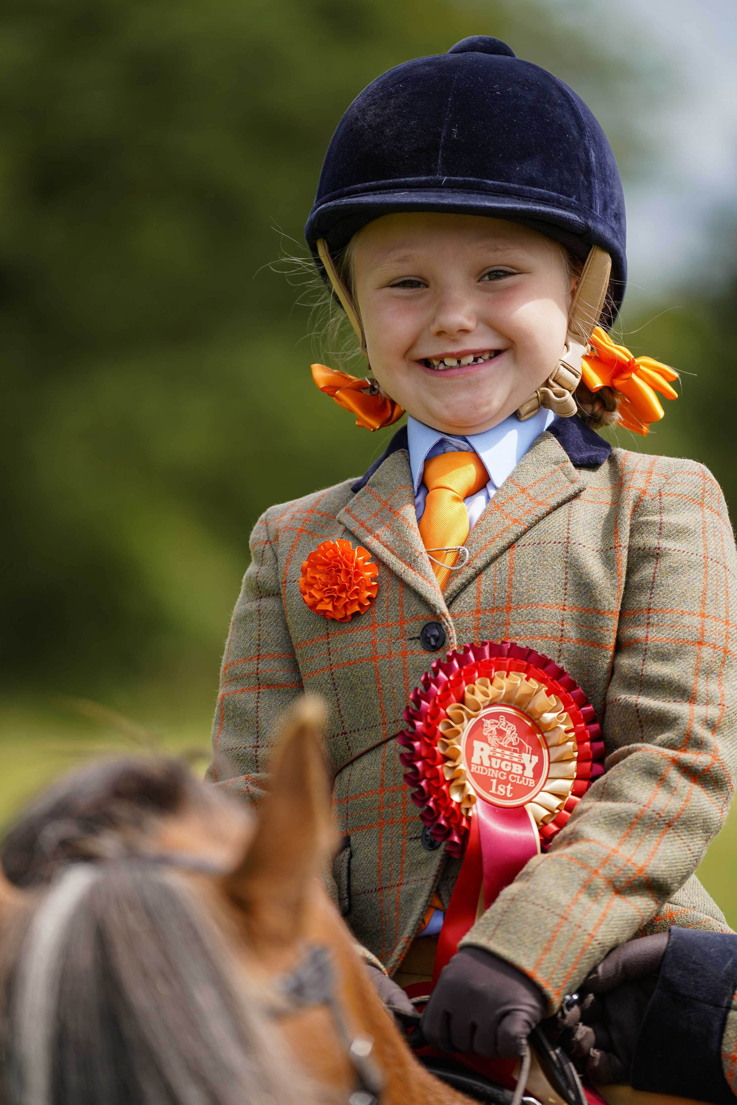 Showing. Leicestershire Equine Photography by El | Authentic Equine Portraits & Events
