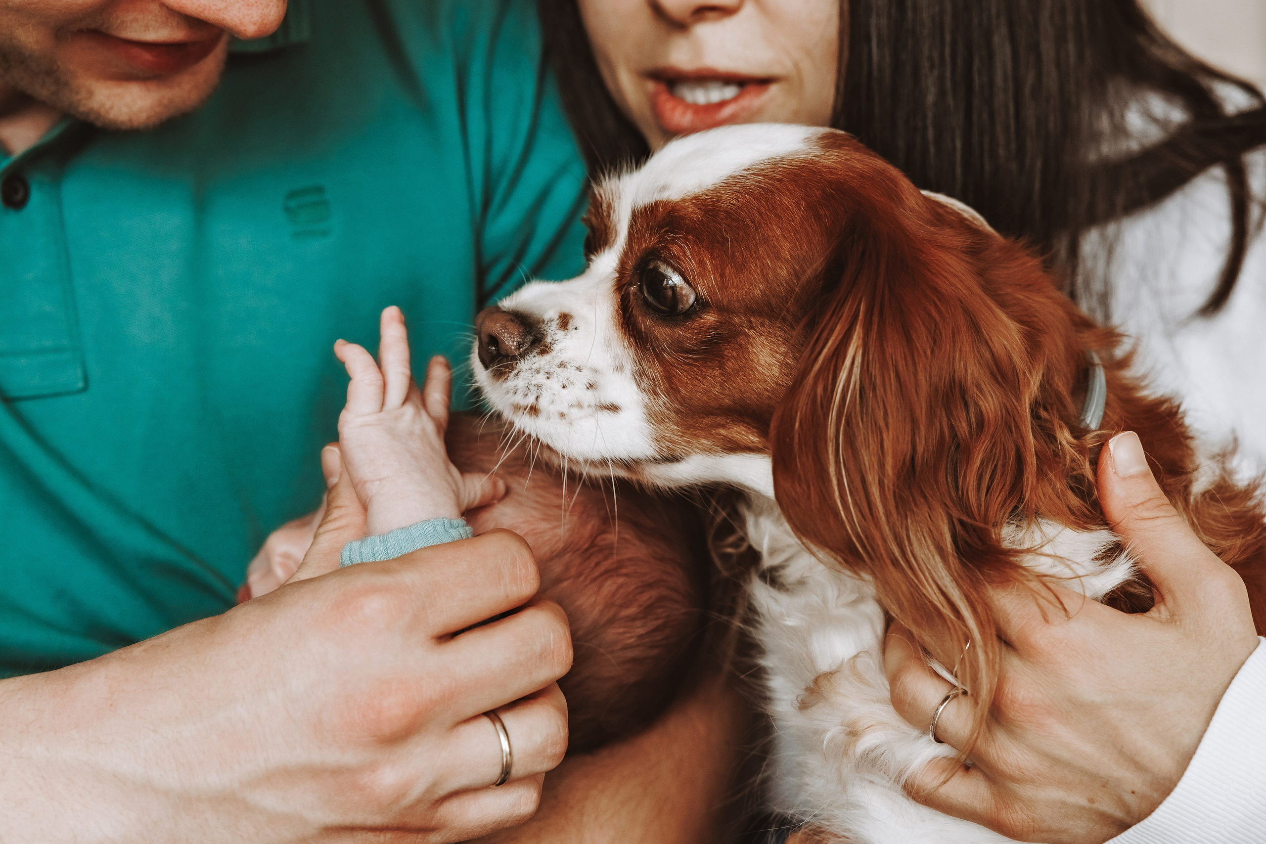 Фотосесия за новородено. Фотограф Ирина Йотова