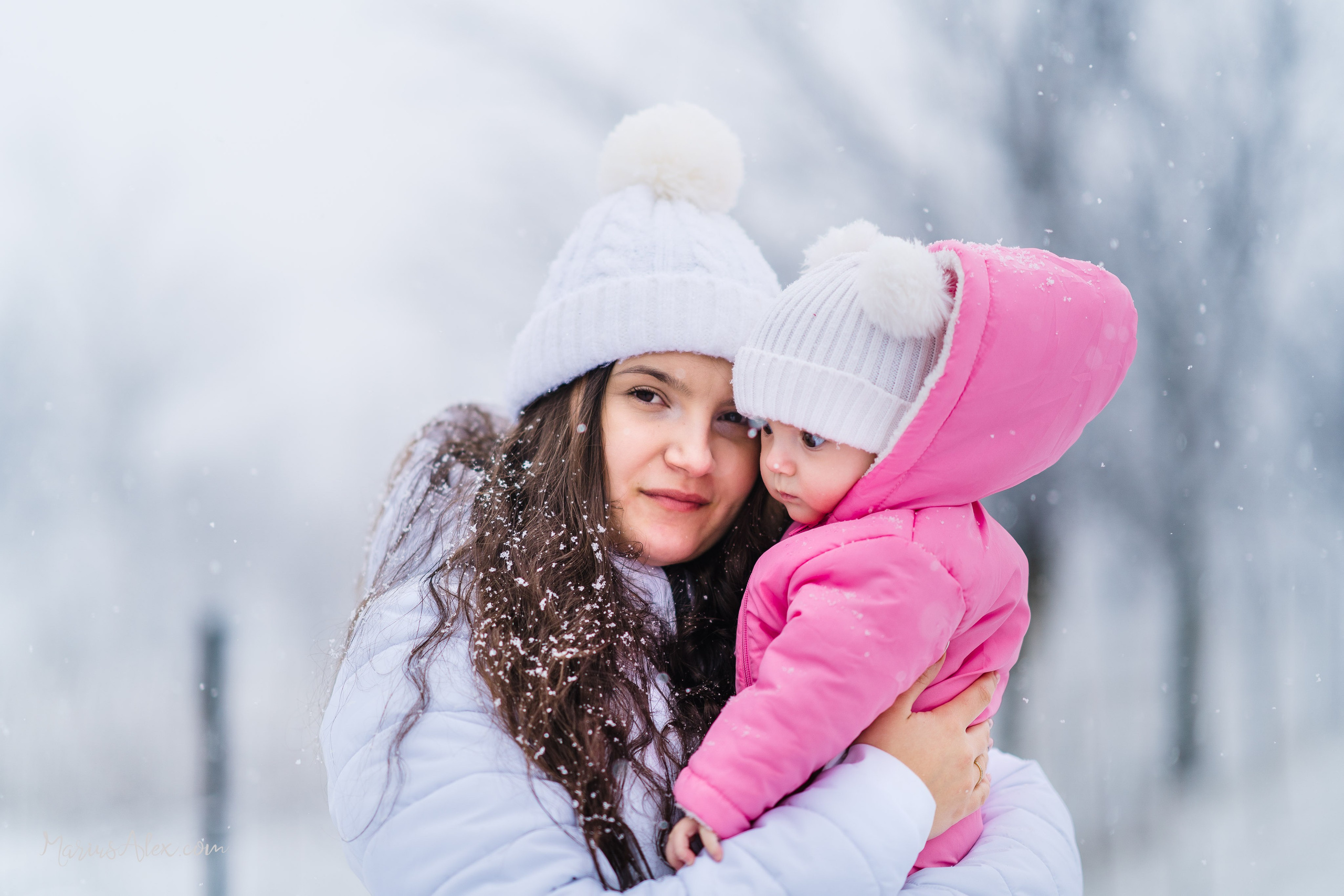 Fotografii pe timp de Iarnă în Suceava