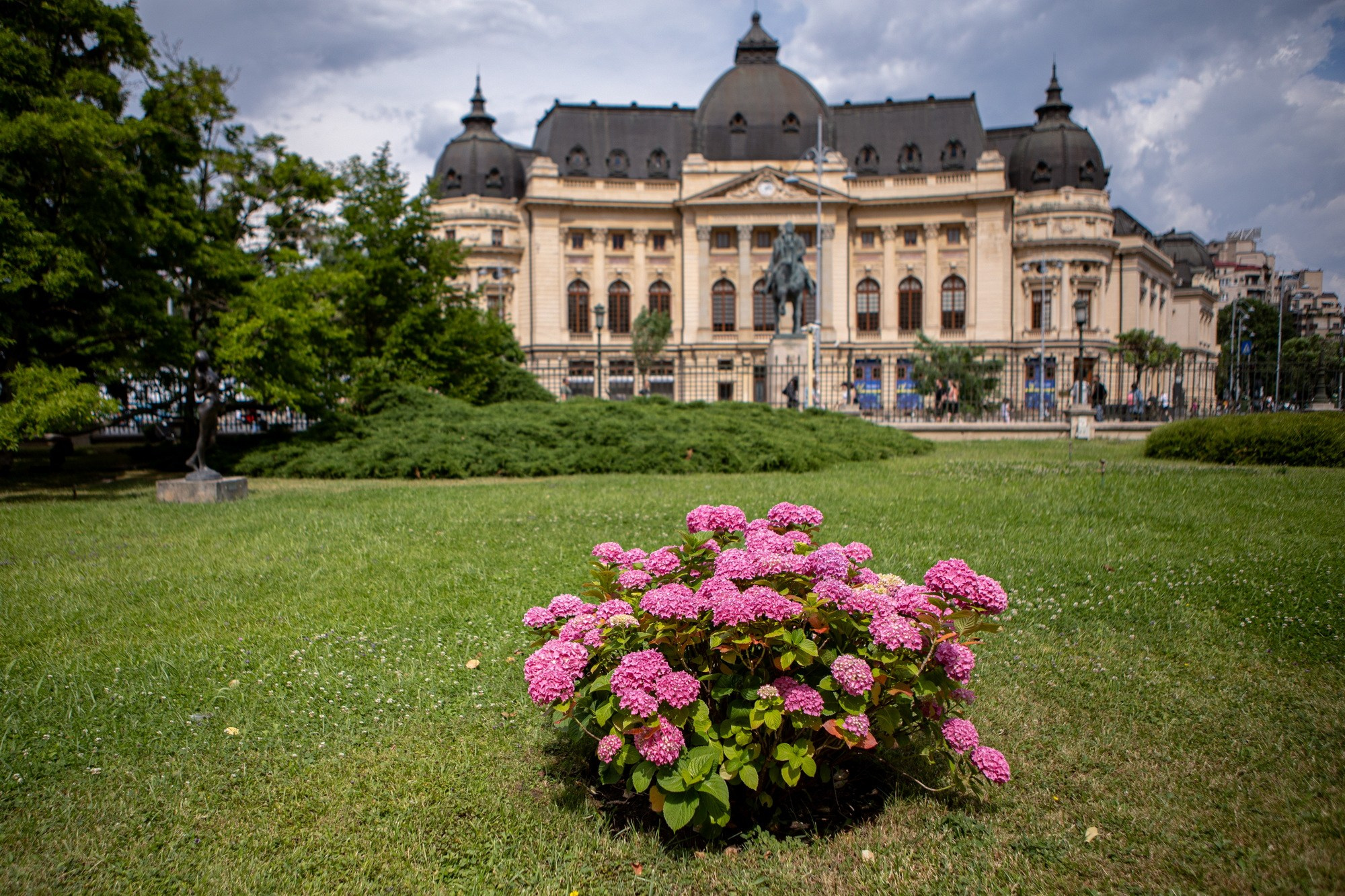 The Grid. A Creative Insight | Catalin Nastase